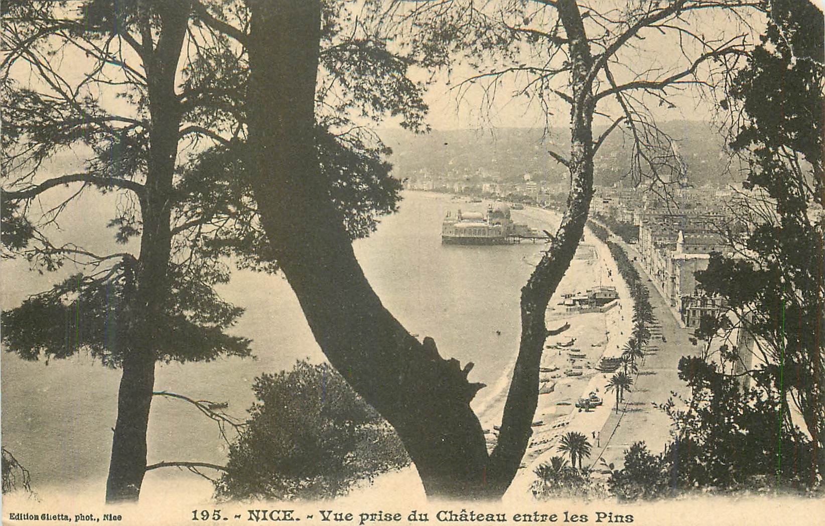 CPA Nice Vue prise du Chateau ente les Pins