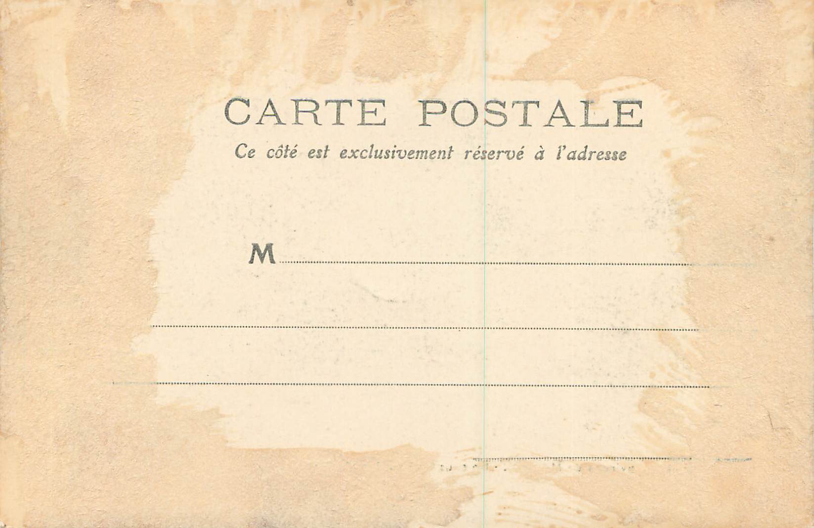 CPA Environs de Menton Un sous bois au Cap Martin — Rückseite