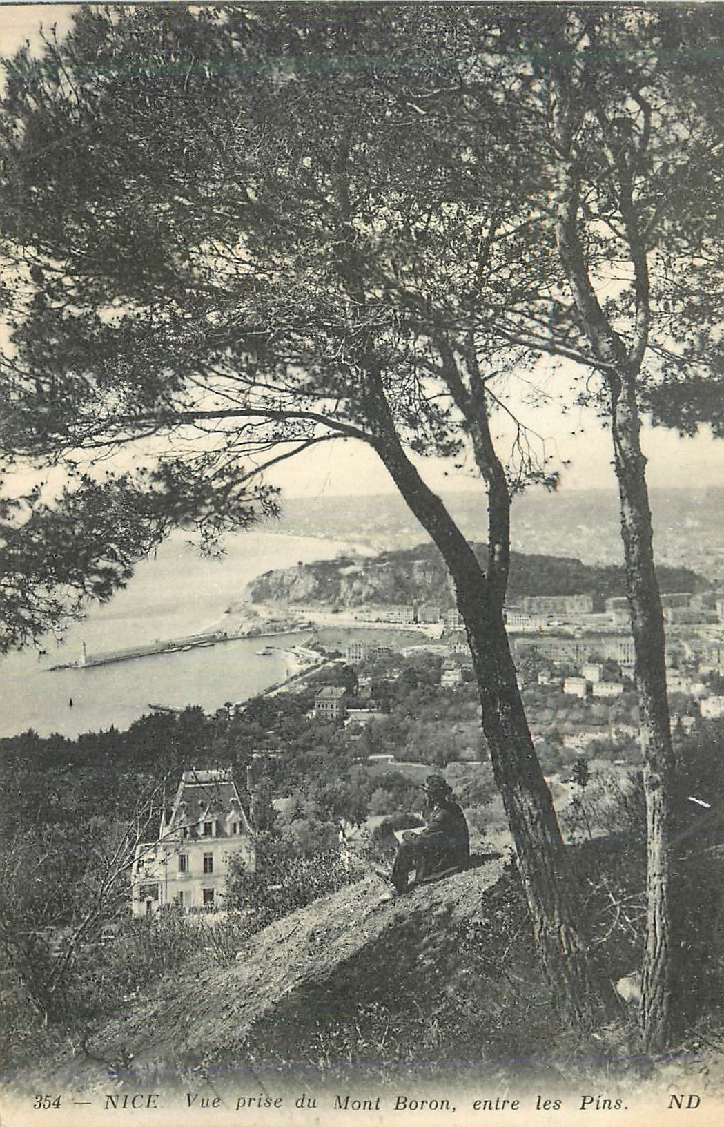 CPA Nice Vue prise du Mont Boron entre les Pins