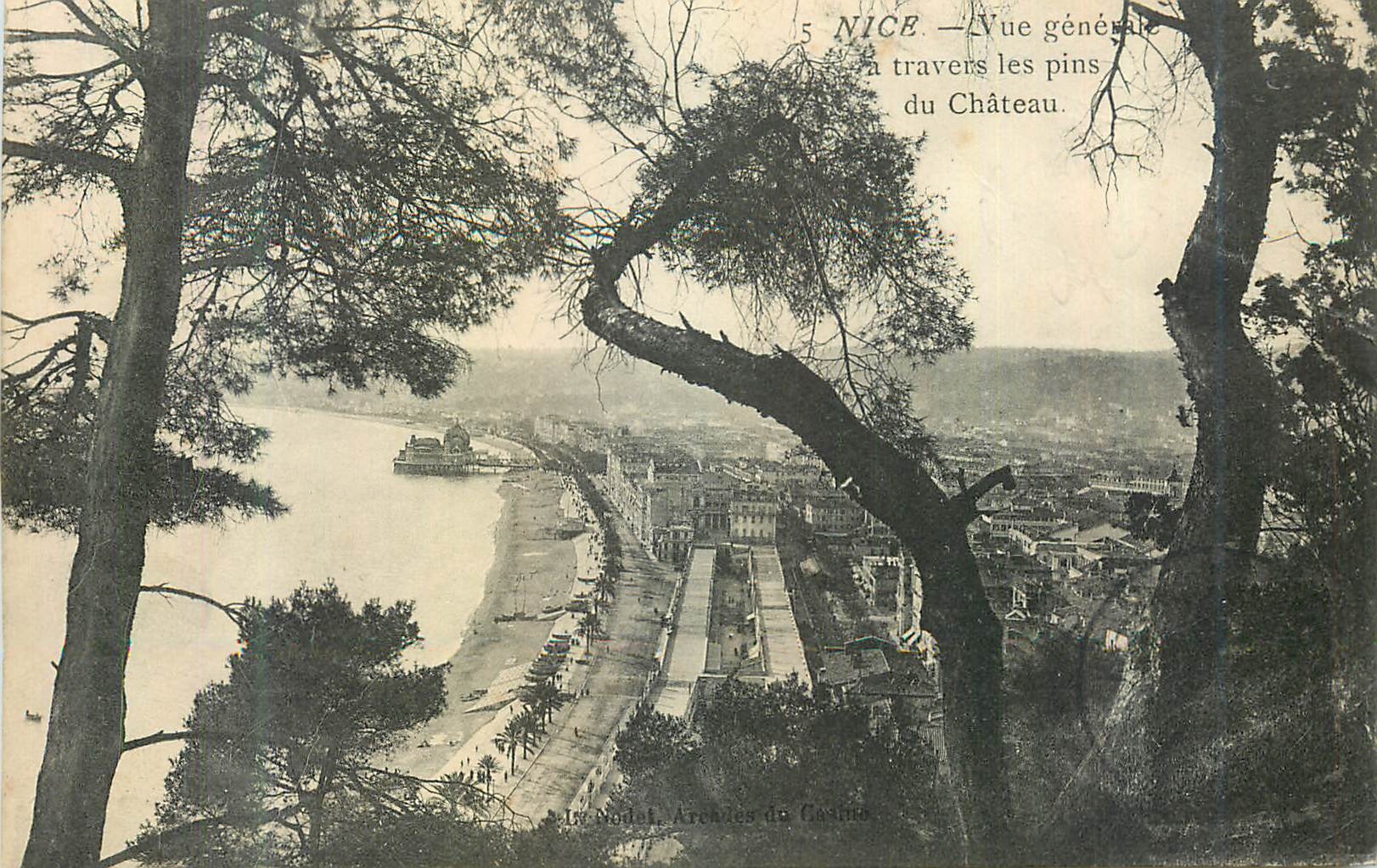 CPA Nice Vue Generale a Travers les Pins du Chateau
