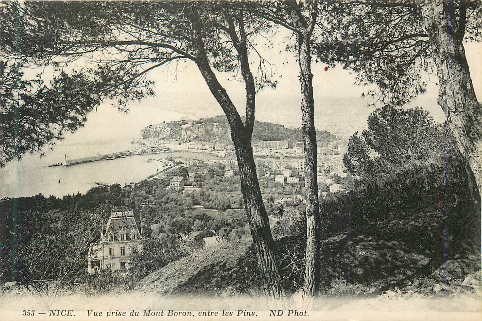 CPA Nice Vue prise du Mont Boron entre les Pins