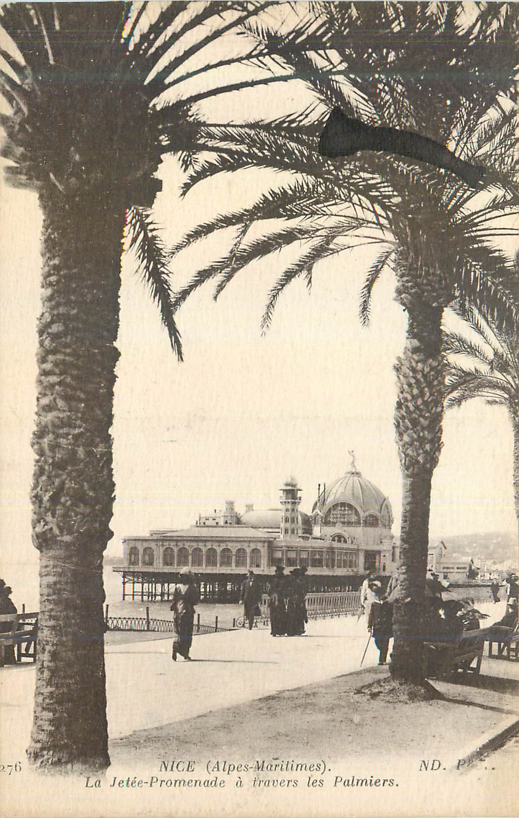 CPA Nice (Alpes Maritimes) La Jetee Promenade a Travers les Palmiers