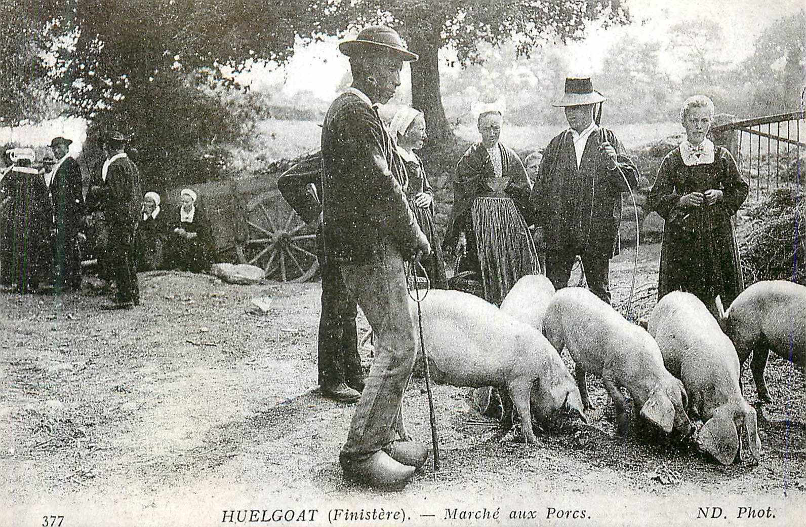 REPRO Huelgoat (Finistere) Marche aux Porcs Cochons