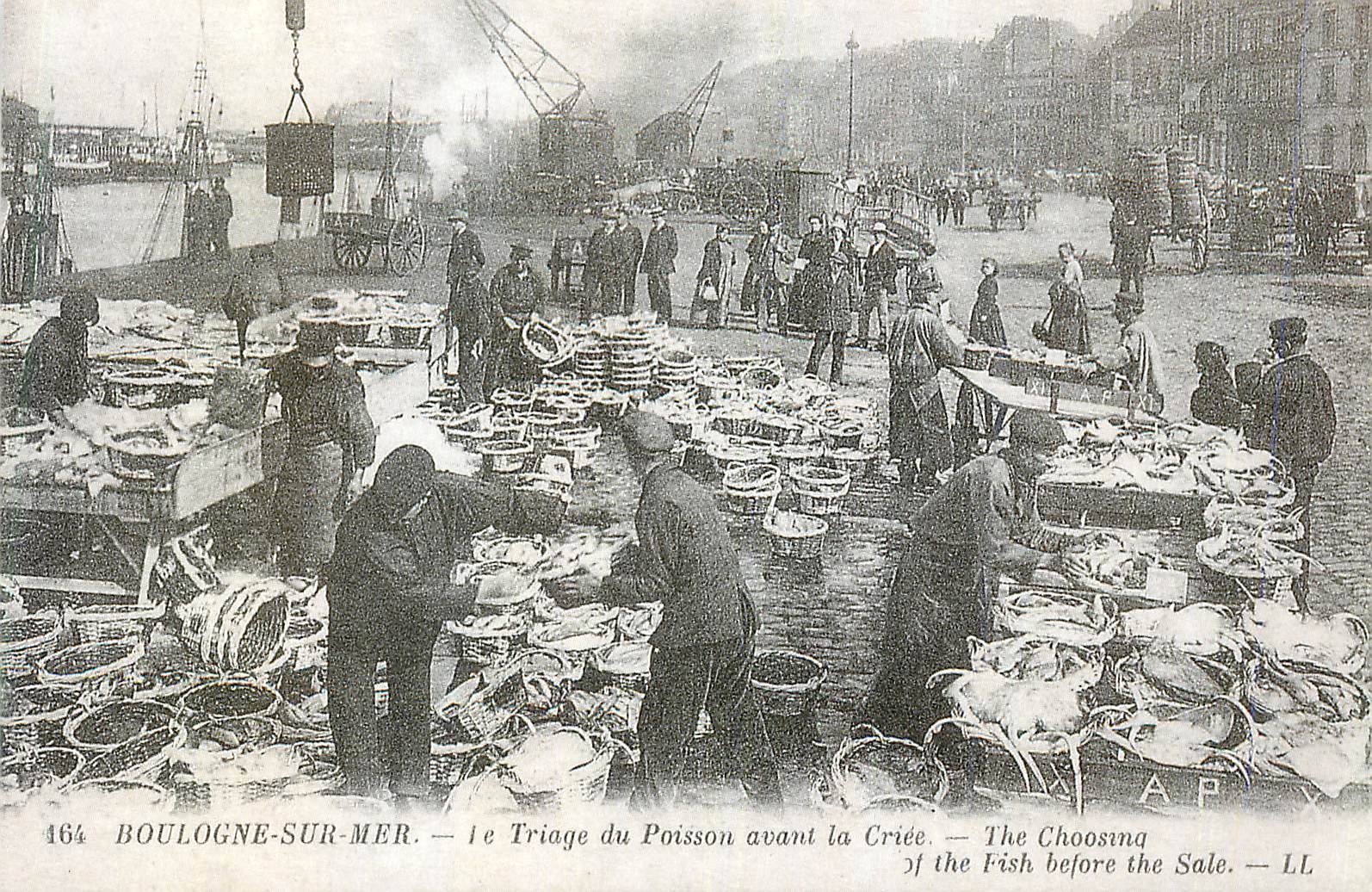 Boulogne-sur-Mer — Triage du poisson avant la criée — AP