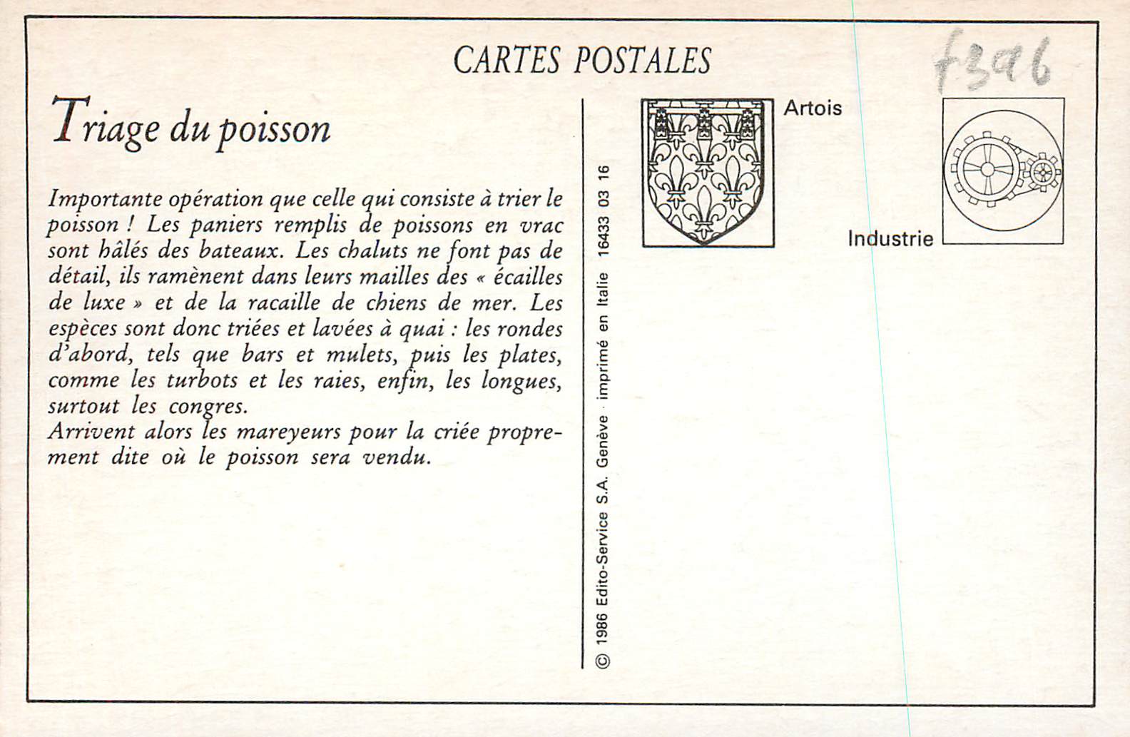 Boulogne-sur-Mer — Triage du poisson avant la criée — AP — Reverso