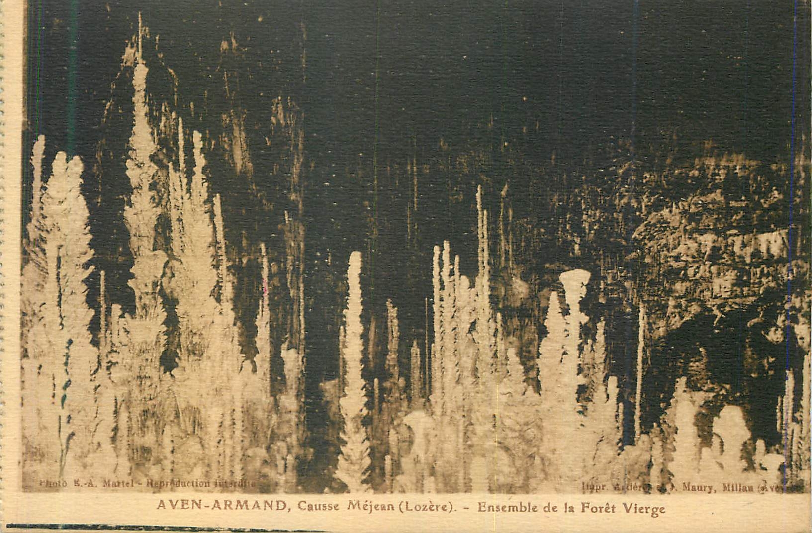 CPA Aven Armand Causse Mejean (Lozere) Ensemble de la Foret Vierge