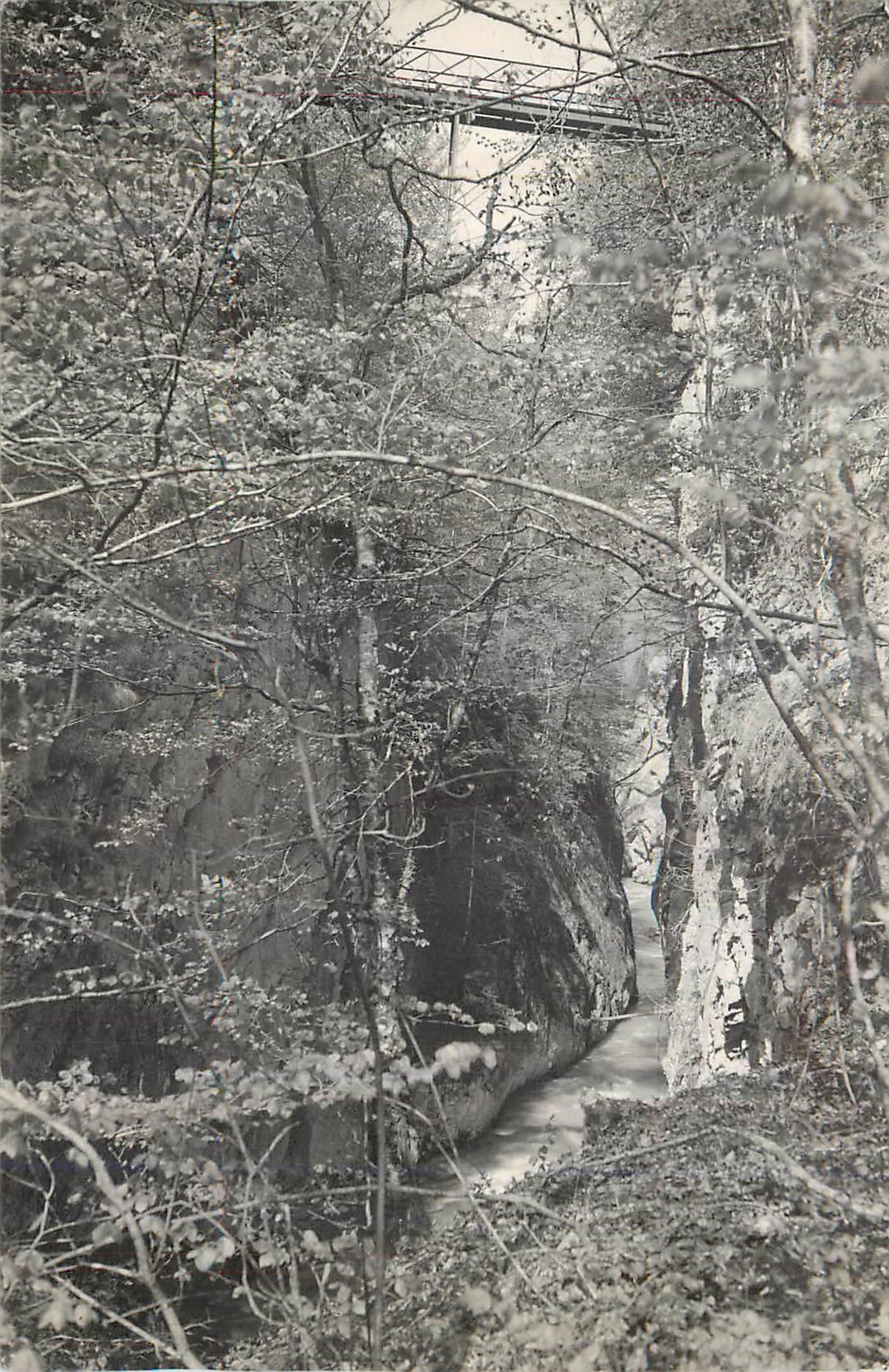 Sixt (Haute-Savoie) — passerelle au-dessus des gorges des Tines sur le Giffre — éditeur Martial Girard