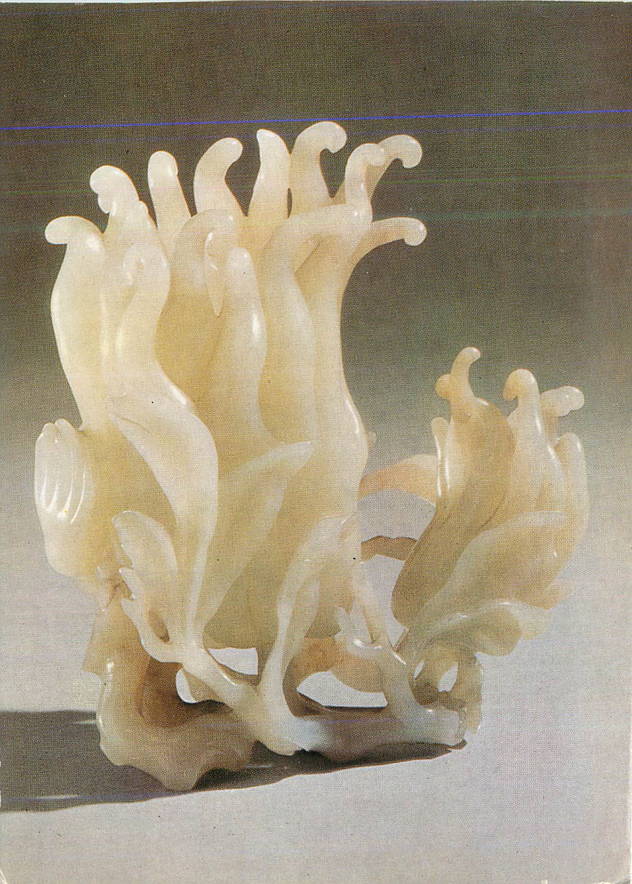 CPM Victoria and Albert Museum Vase