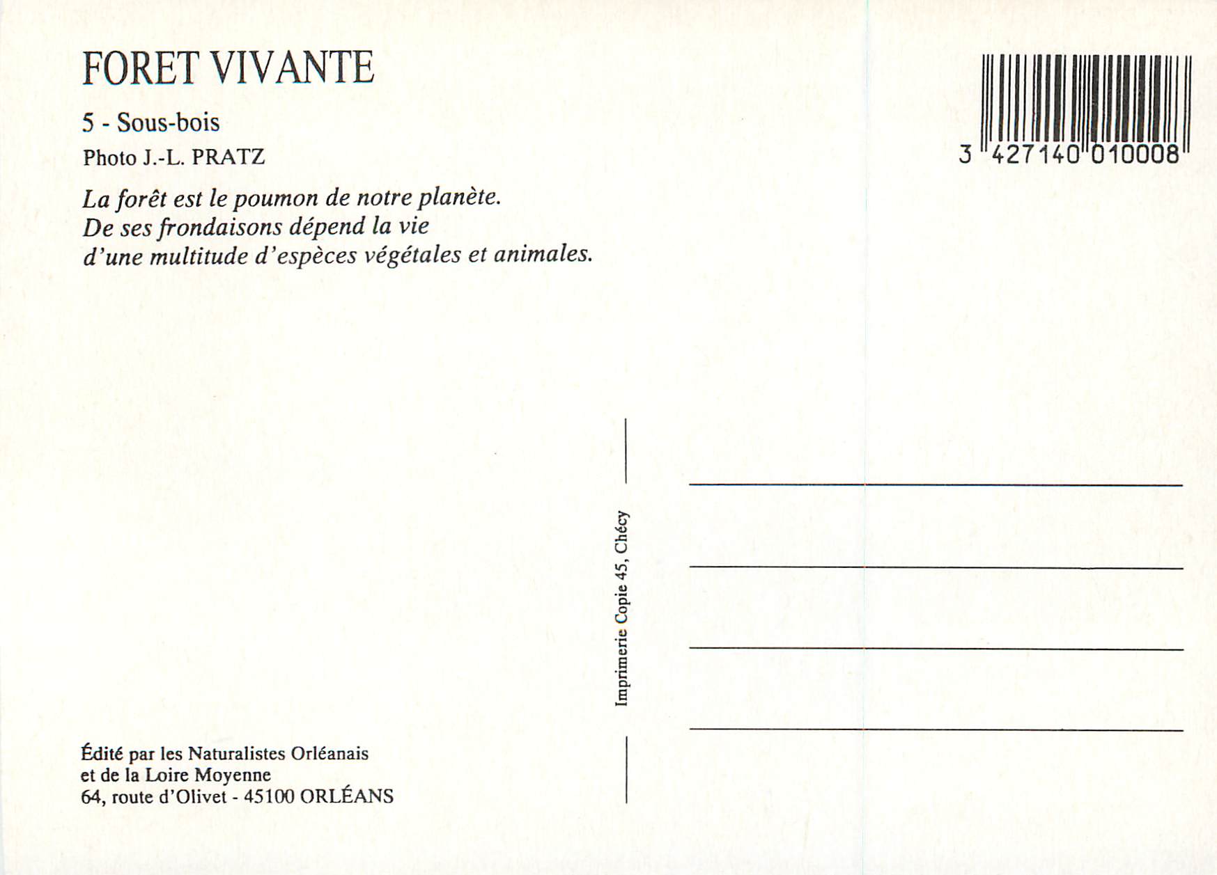 CPA Foret Vivante Sous Bois — Verso