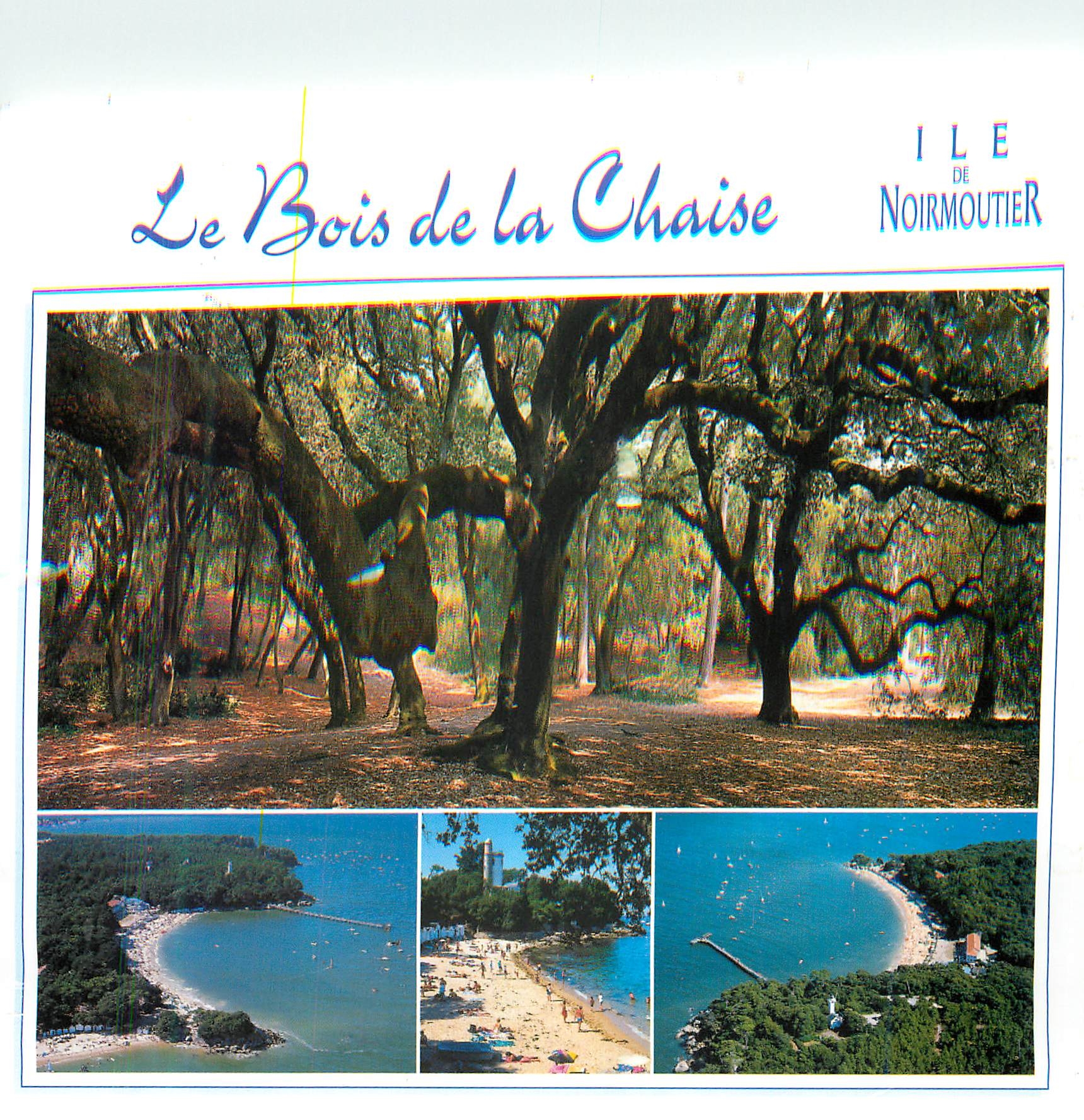 CPM Ile de Noirmoutier Le Bois de la Chaise 