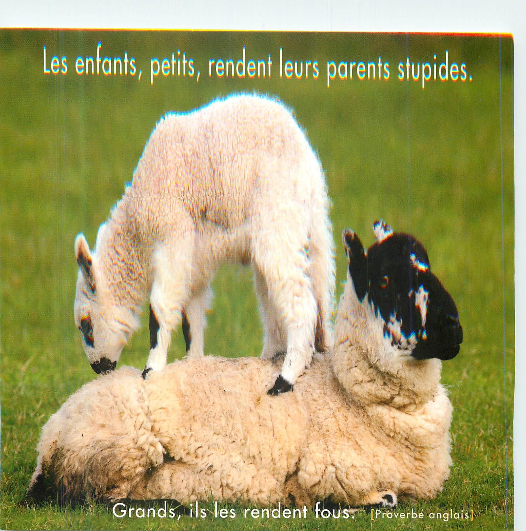 CPM Les Enfants petits Rendent leurs Parents Stupides Moutons