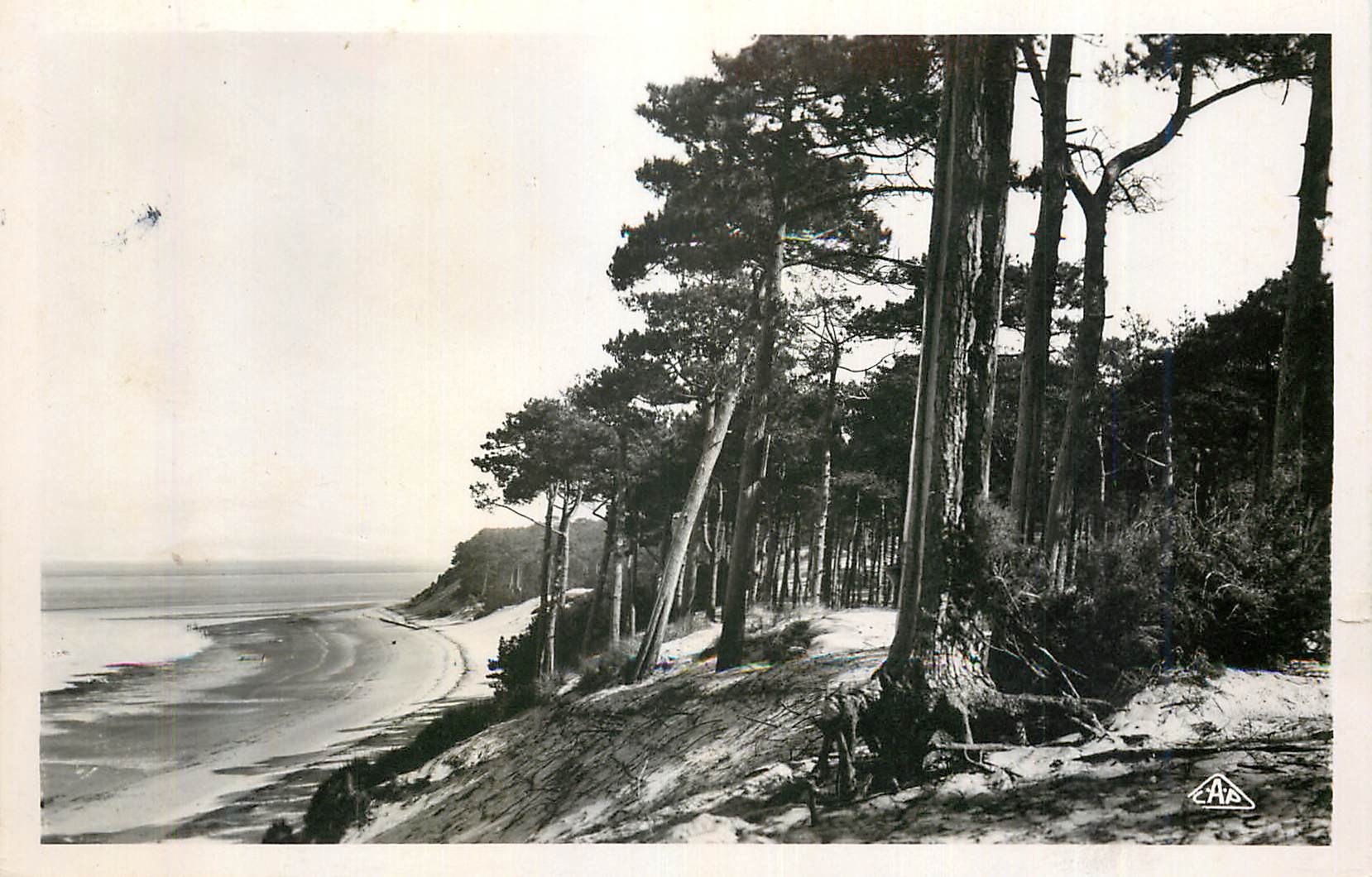 Plage des Abatilles — Côte d'Argent — Éditeur E.A.S. n°82