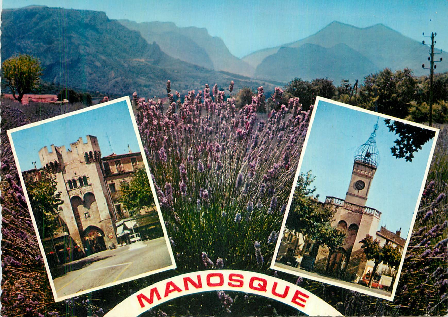 CPM Manosque Alpes de Haute Provence Au Pays de la Lavande