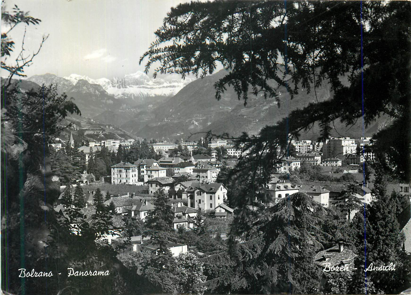 CPM Bolzano Panorama