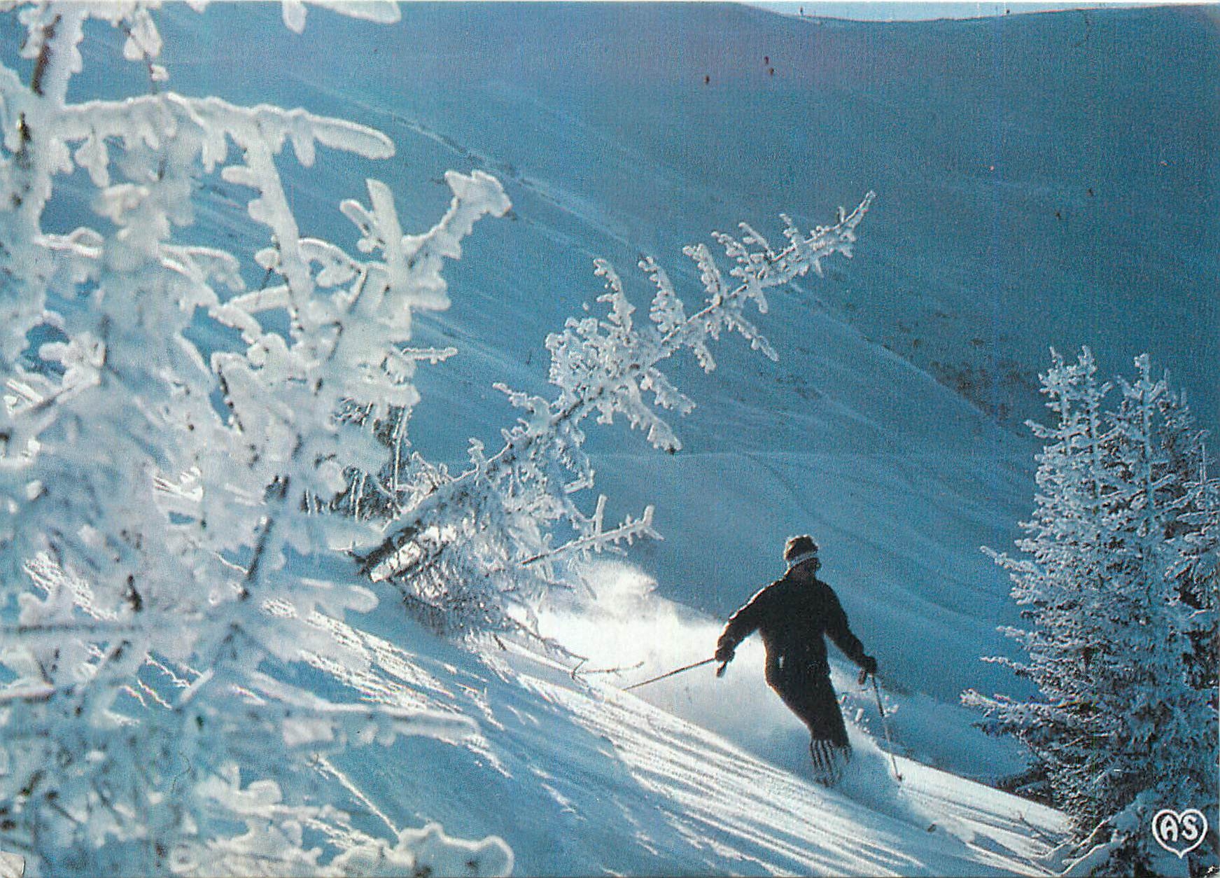 CPM Descente au Milieu des Sapins Images de nos Montagnes en Hiver