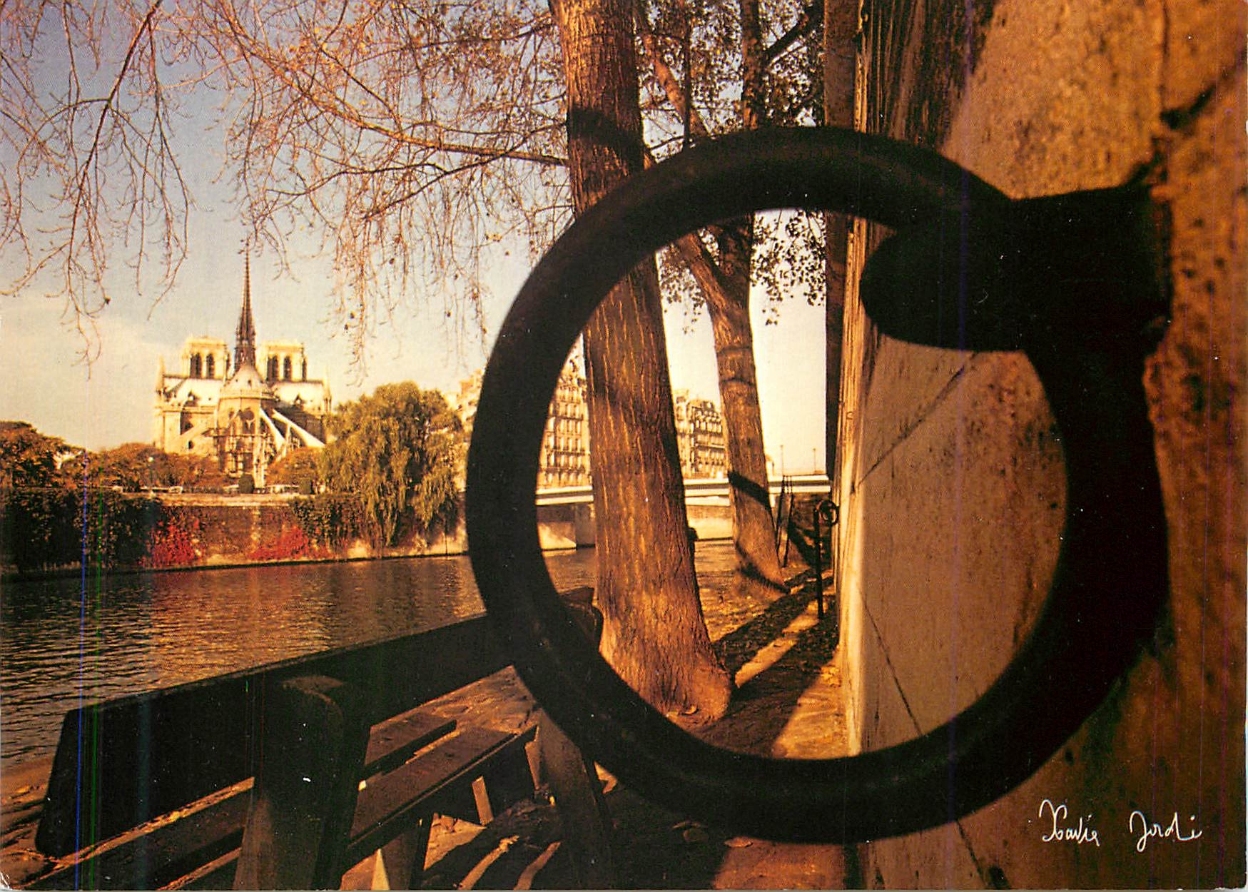 CPM Lumieres et Scenes de Paris la Seine et la Cathedrale Notre Dame 