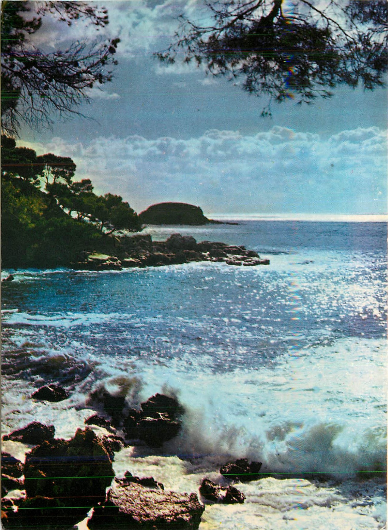 CPM Charme et Soleil de la Cote d'Azur Reflets Argentes dans une Calanque