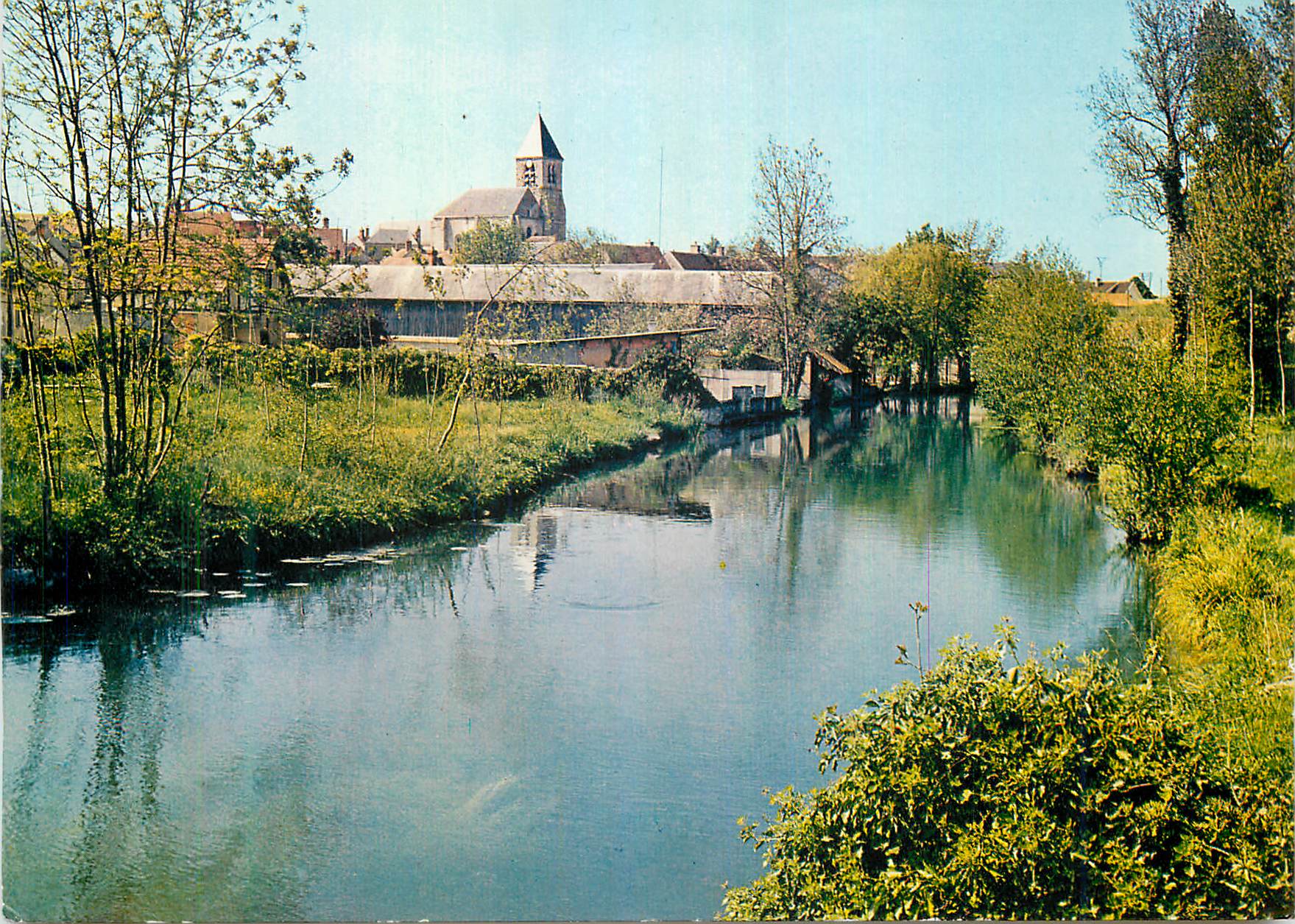 CPM Briarres sur Essonne (Loiret) Sur les Bords de l'Essonne