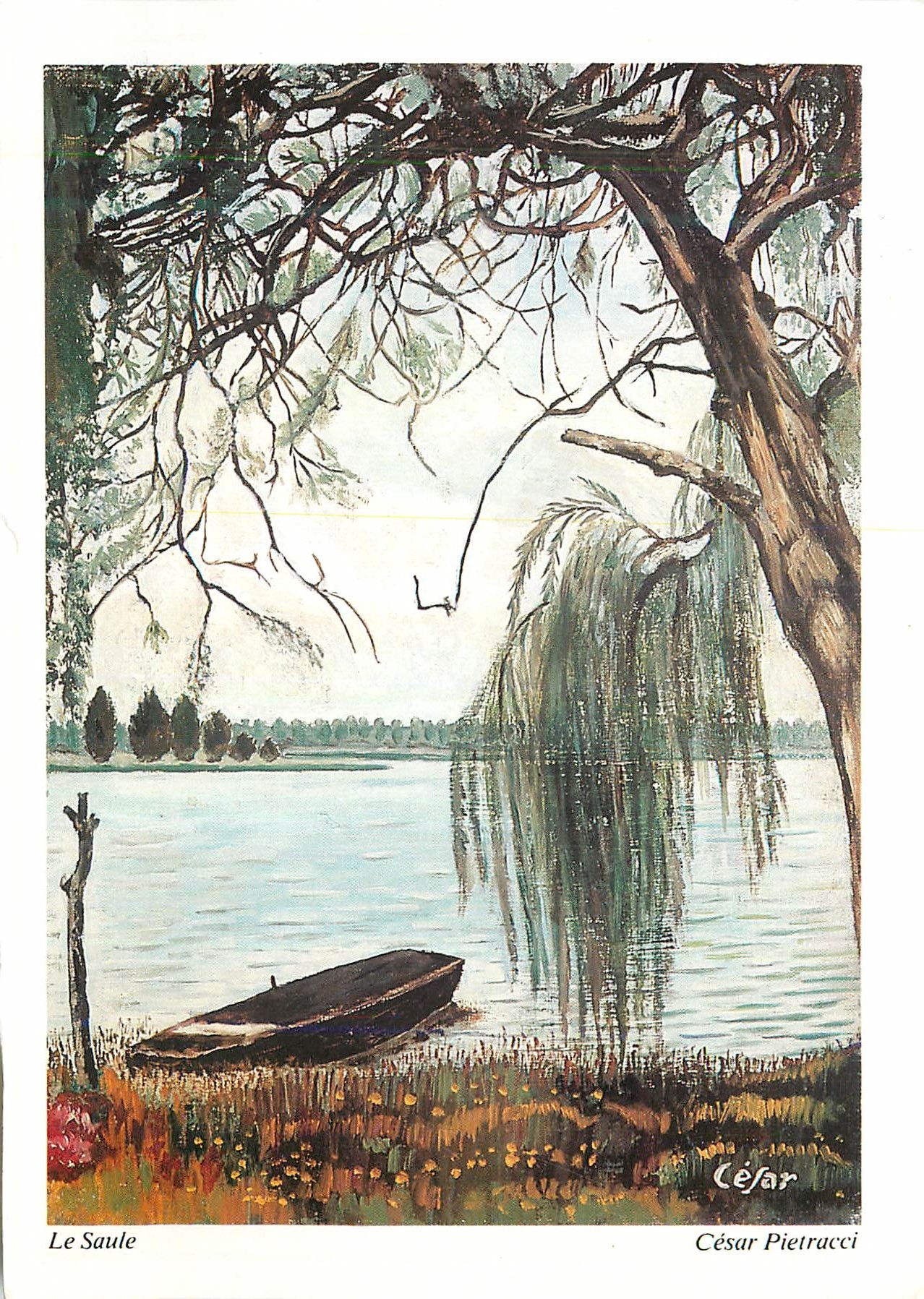 CPM Le Saule Cesar Pietracci