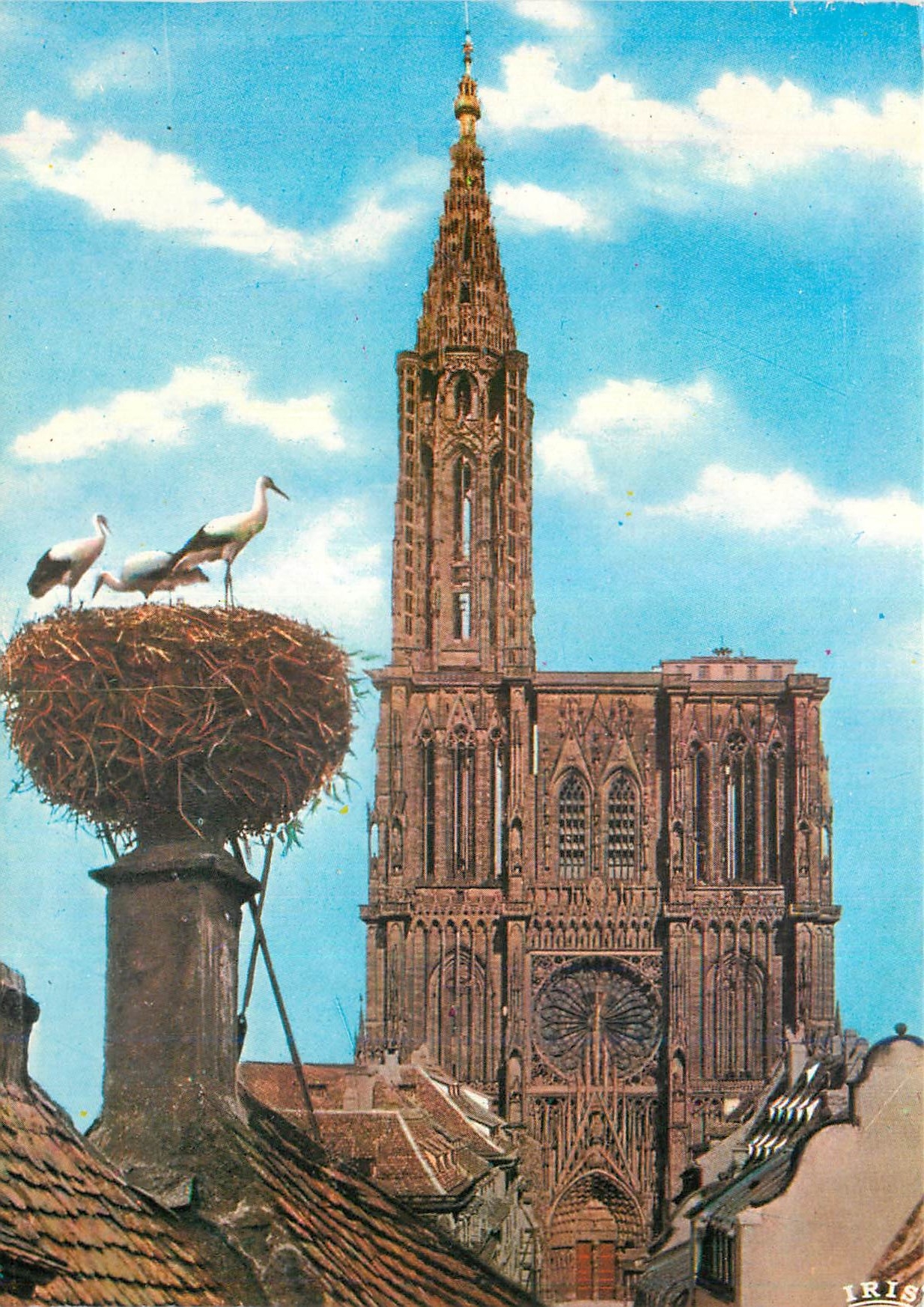 CPM Souvenir de Strasbourg L'Alsace Pittoresque Cigogne