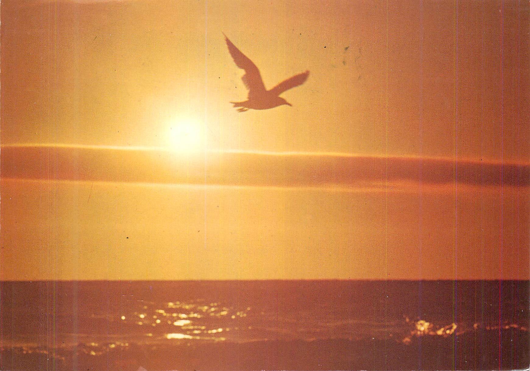 CPM Coucher de Soleil sur nos Merveilleux Rivages