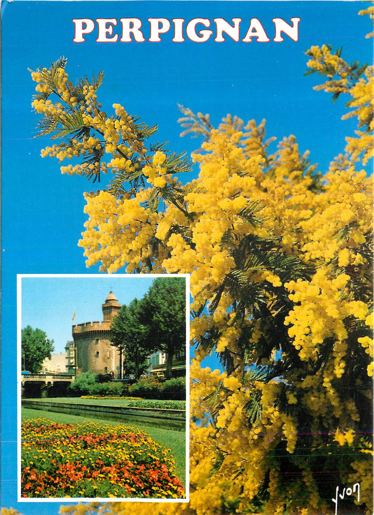CPM Perpignan (P O) La Cote Vermeille Couleurs et Lumiere de France