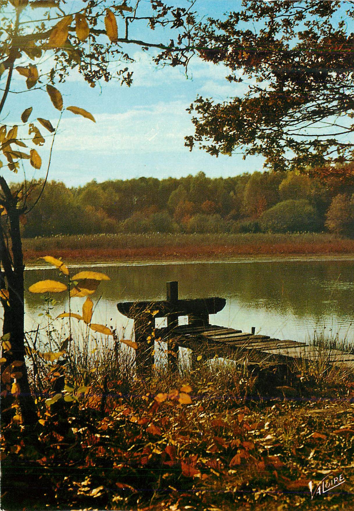 CPM En Sologne Un Etang a l'Automne