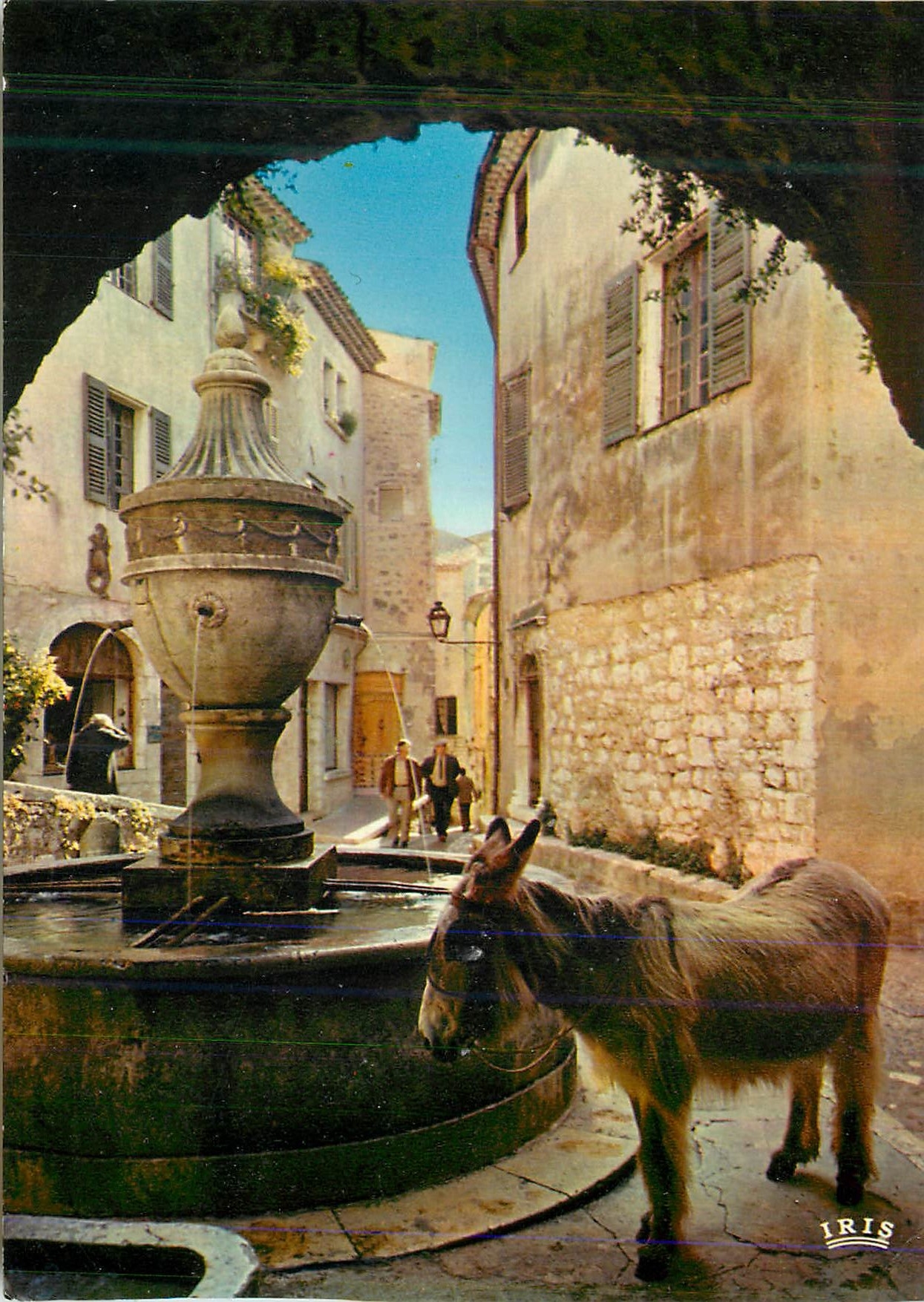 CPM Saint Paul de Vence La Cote d'Azur Halte a la Fontaine Ane Donkey