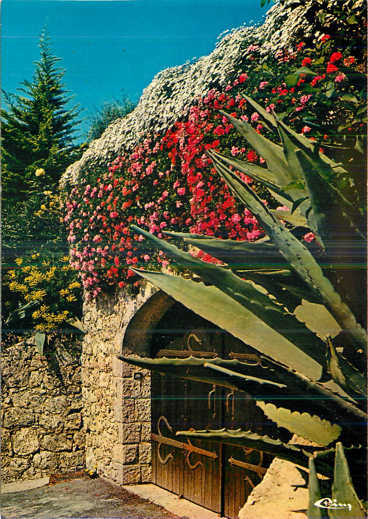 CPM Mougins (Alpes Mar) Un Coin Fleuri