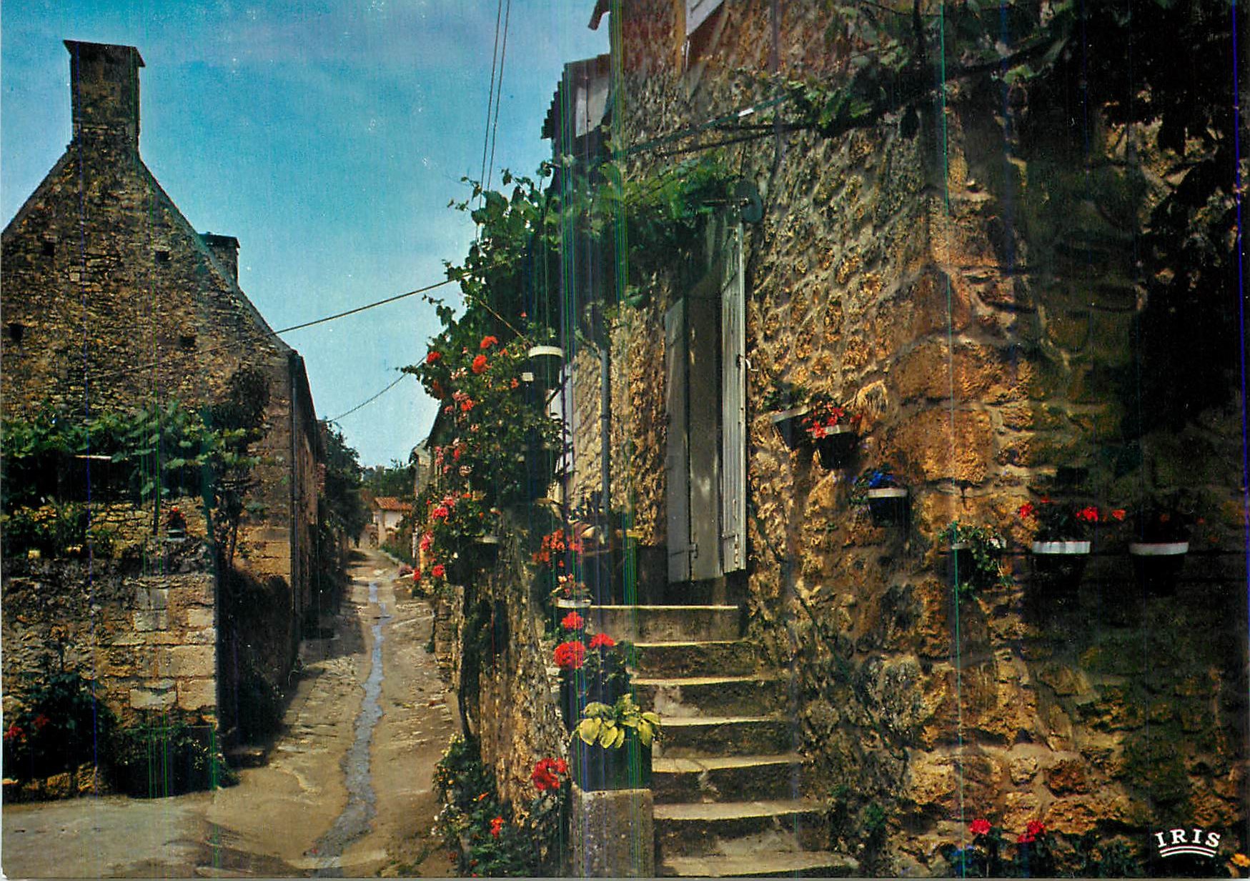 CPM Domme La Vallee de Dordogne Vieille Rue et Maisons Fleuries