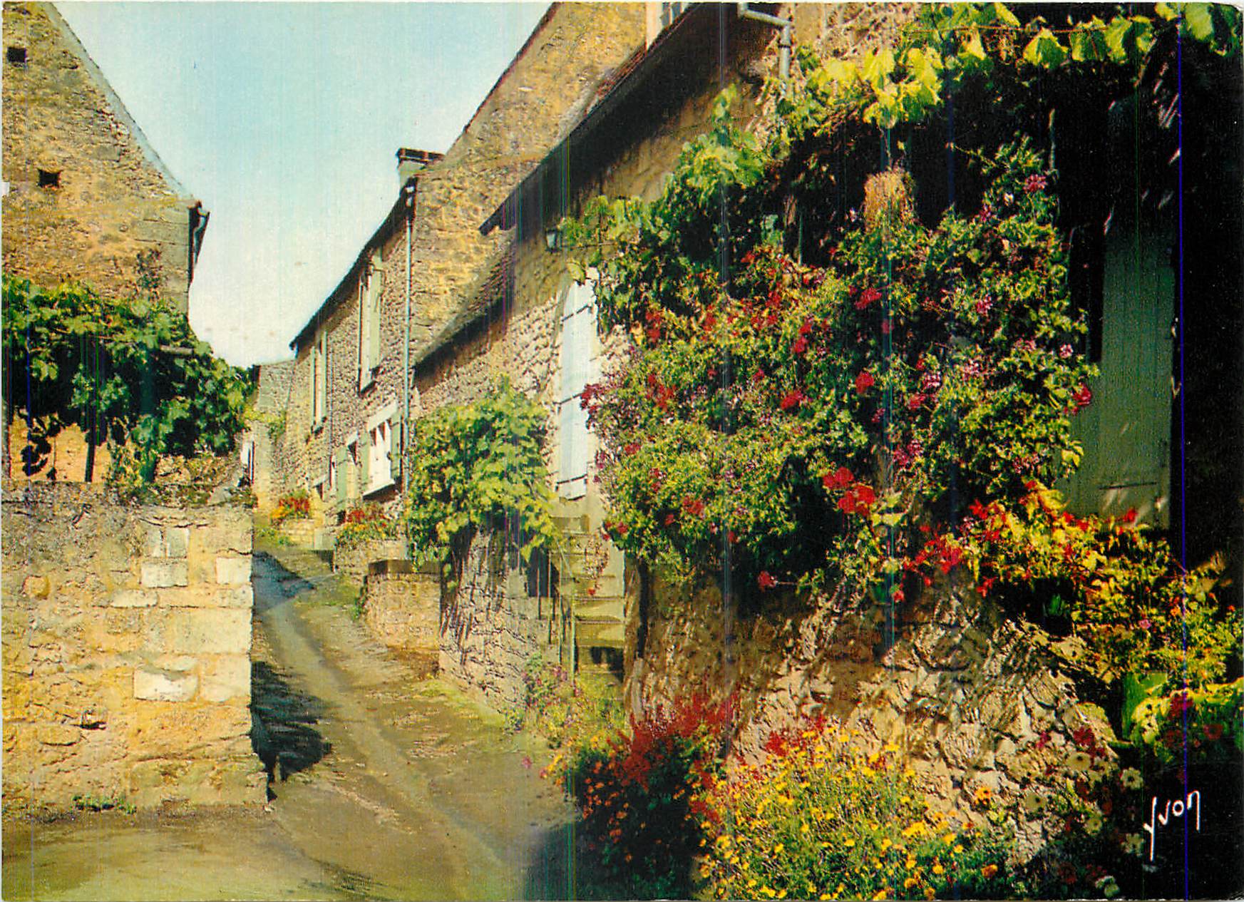 CPM Domme (Dordogne) Couleurs et Lumiere de France Une Vieille Rue Fleurie