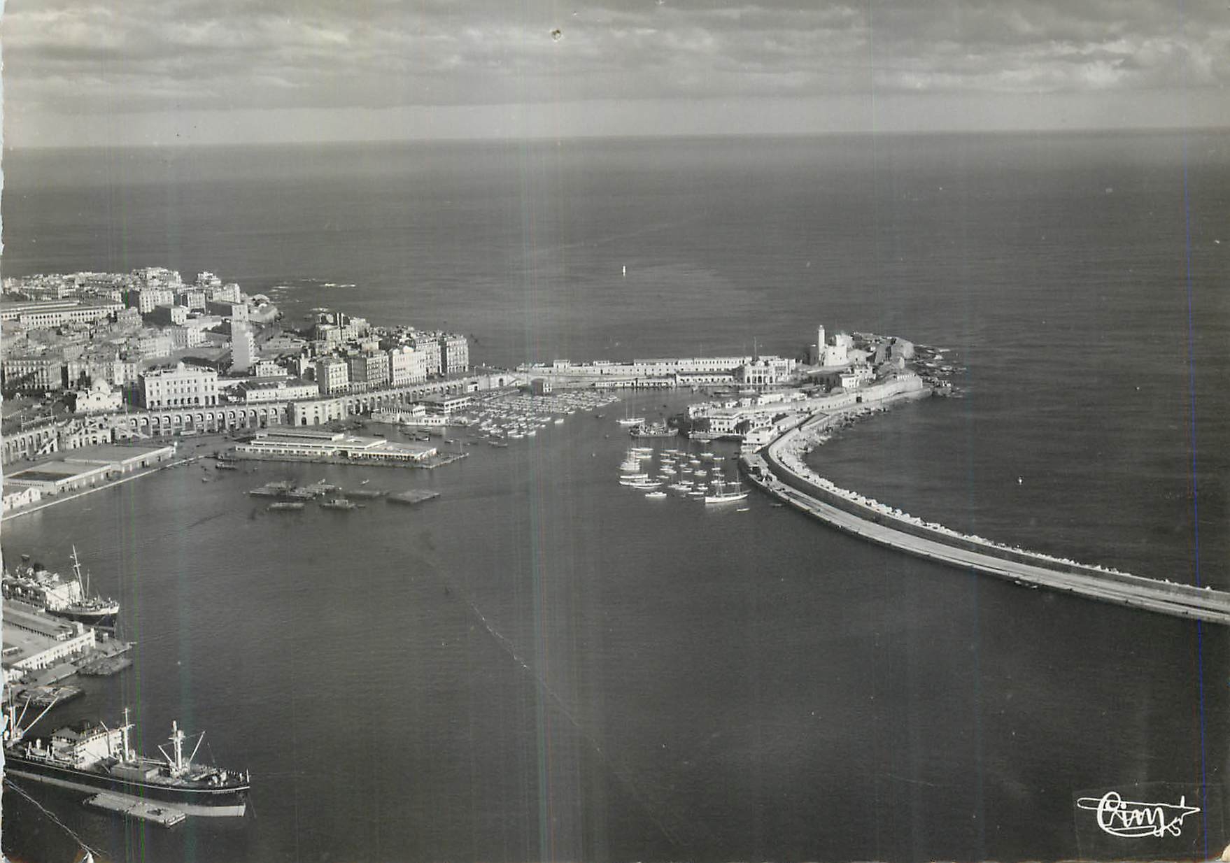 CPM Alger Vue Aerienne Perspective sur la Marine