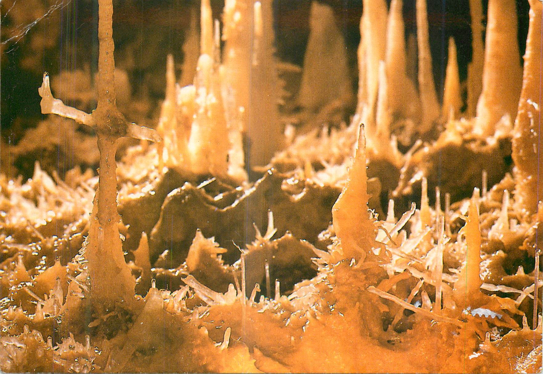 CPM les Eyzies de Tayac (Dordogne) Grotte du Grand Roc