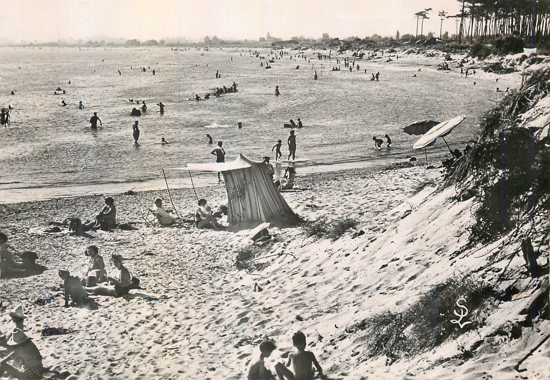 CPM le Grau d'Agde (Herault) la Plage de la Tamarissiere