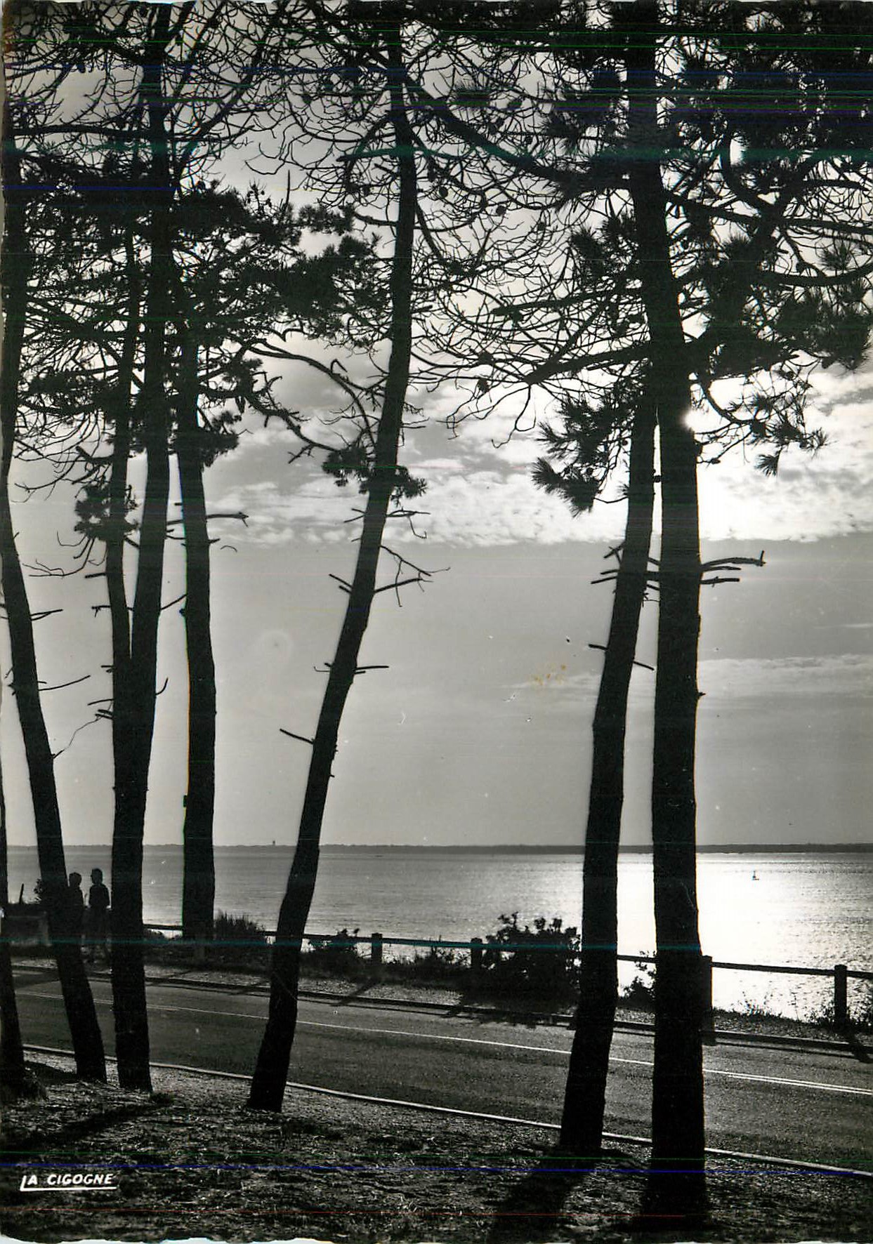 Bassin d'Arcachon — Contre-jour sur le bassin — Éd. « La Cigogne »