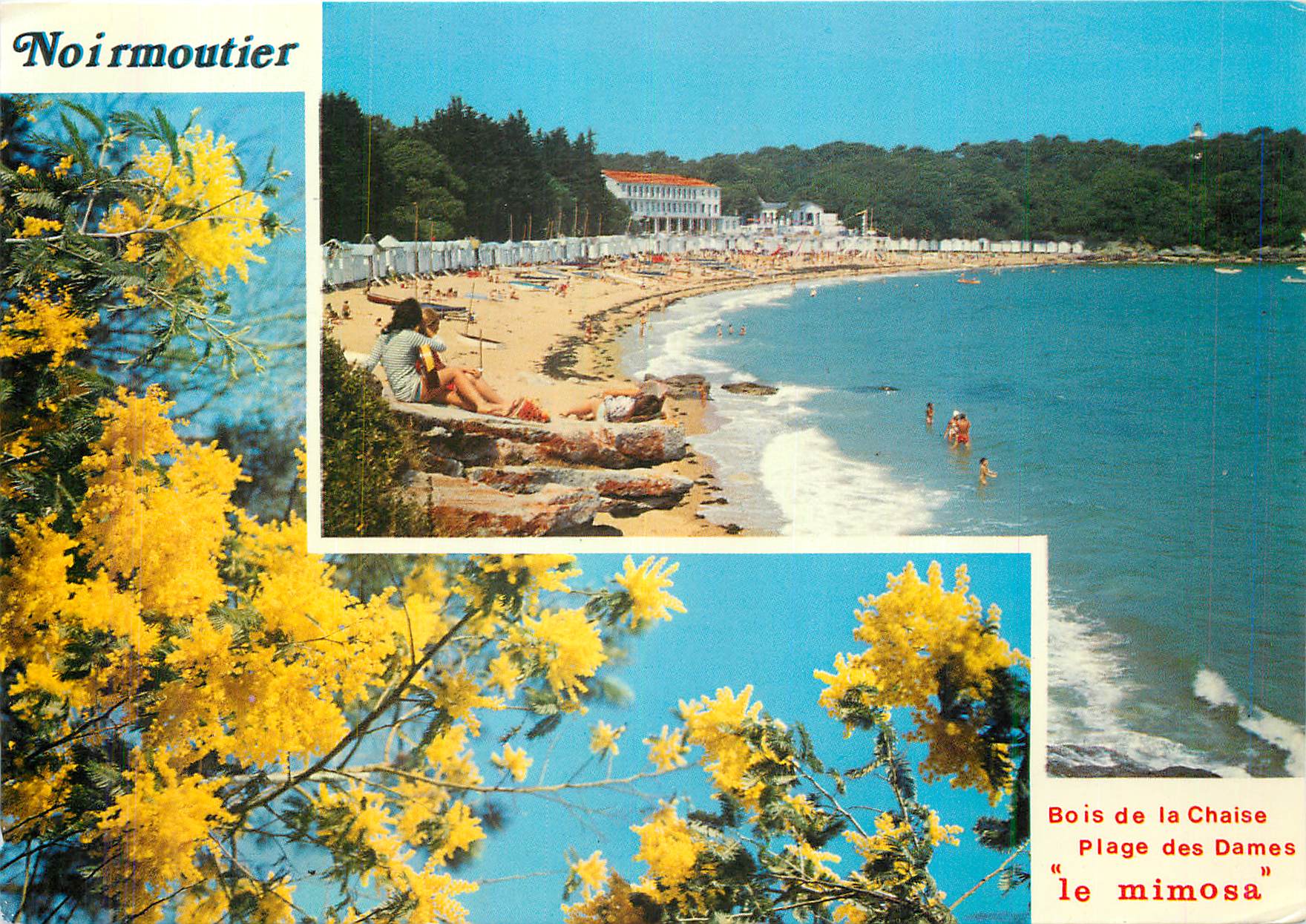 CPM La vendee Touristique Ile de Noirmoutier Plage des Dames et le Bois de la Chaise