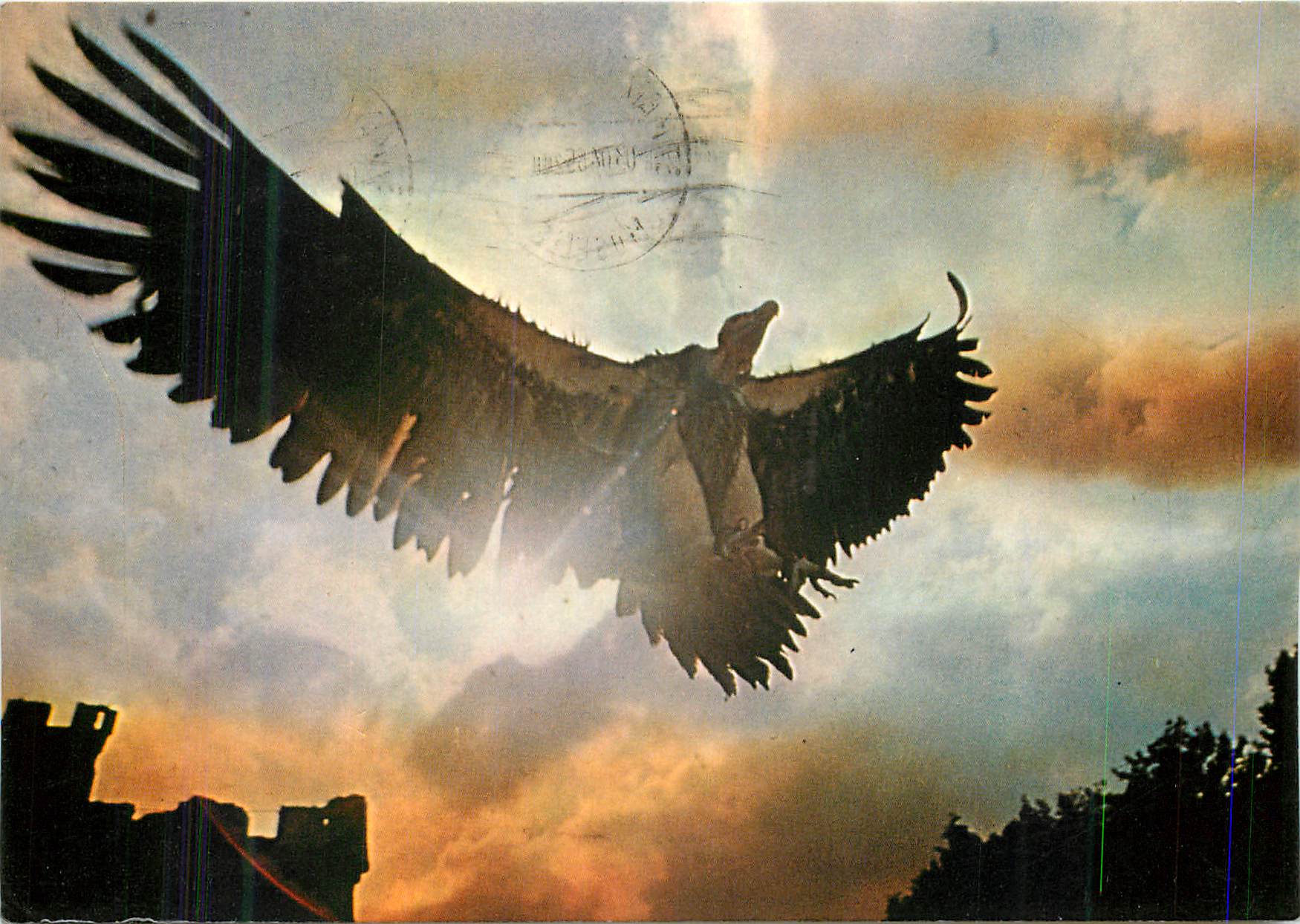 CPM Volerie des Aigles Alsace Chateau du Kintzheim