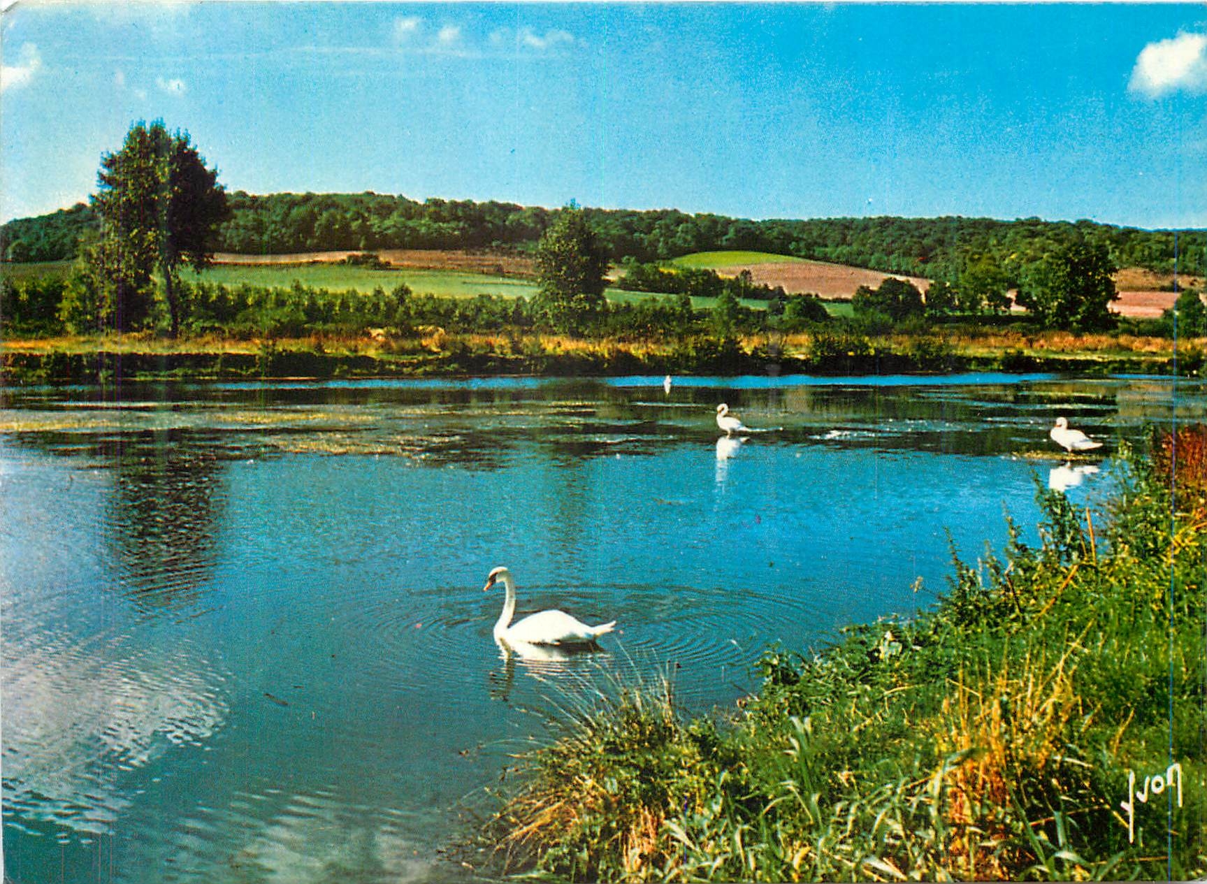 CPM Gamaches (Somme)L'Etang a Voile On y peche aussi