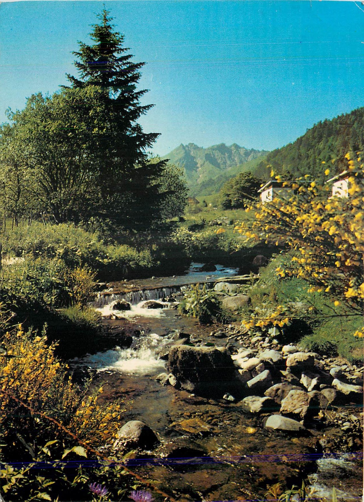 Le Sancy (1886 m.) — A. 818 — La Dordogne au printemps — Éditions AS de Coeur