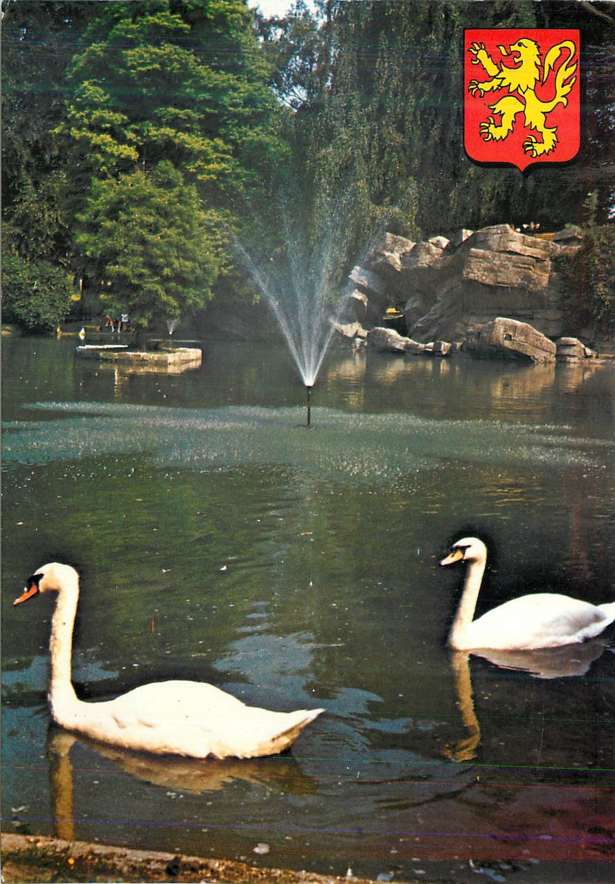 CPM Valenciennes Le parc de la Rhonelle Cygnes