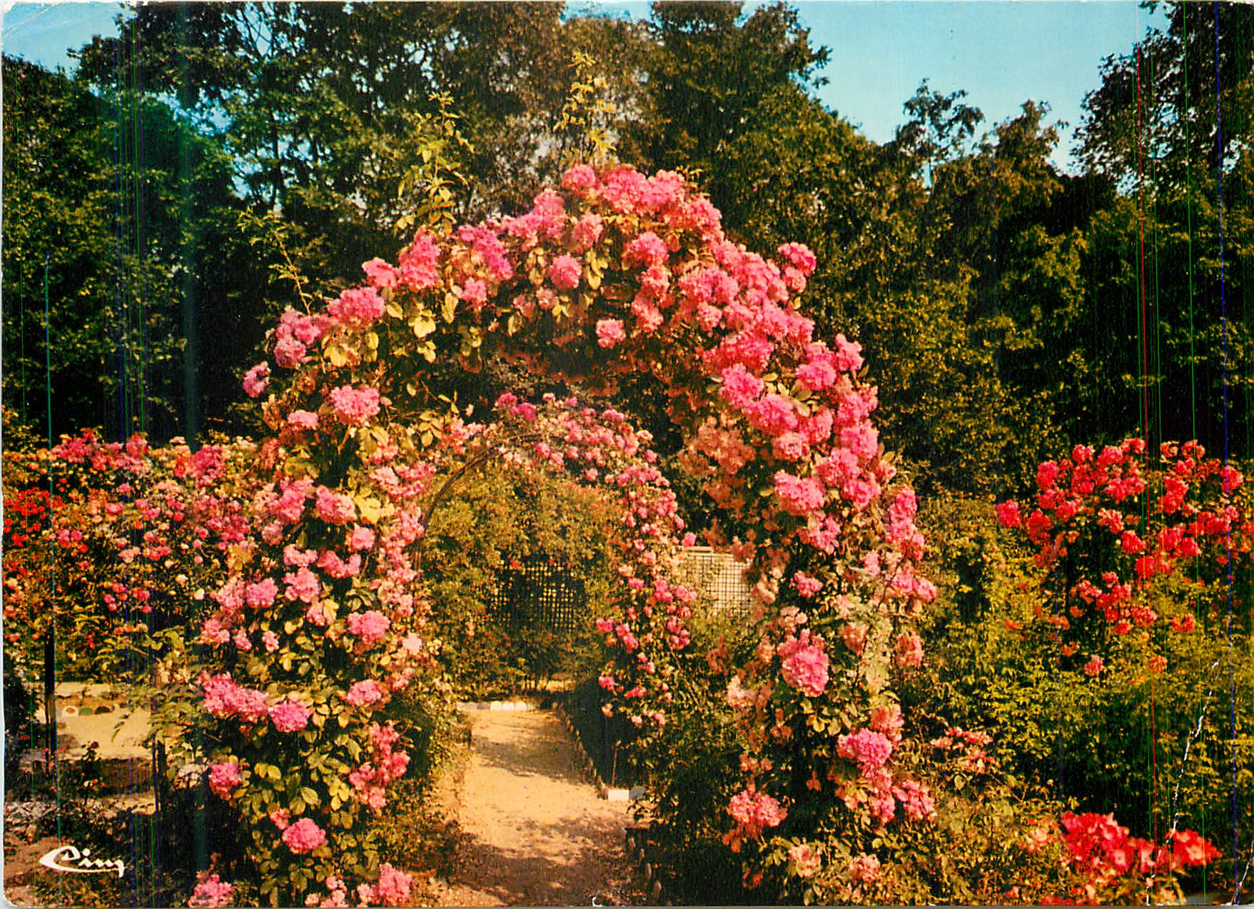 CPM L'Hay les Roses (Val de Marne)La Roseraie