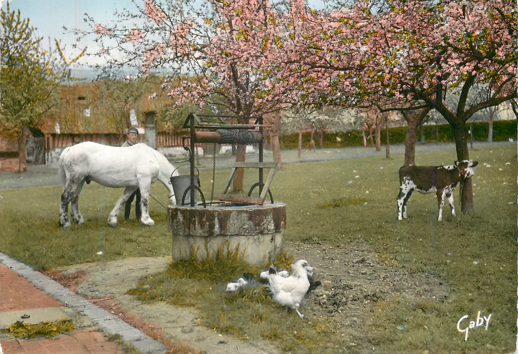 CPM La Normandie Le Vieux Puits Cheval Poule Veau Vache
