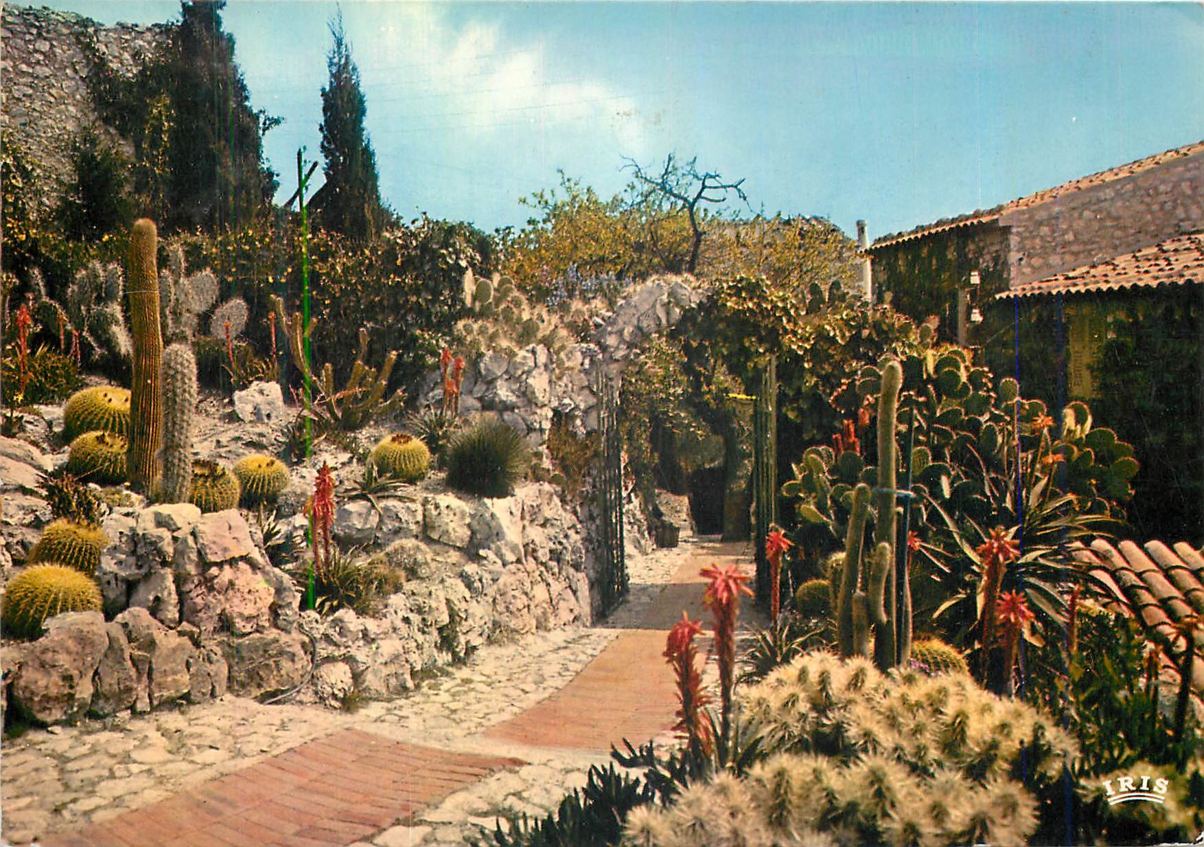 CPM La Cote d'Azur French Riviera Le Jardin Exotique