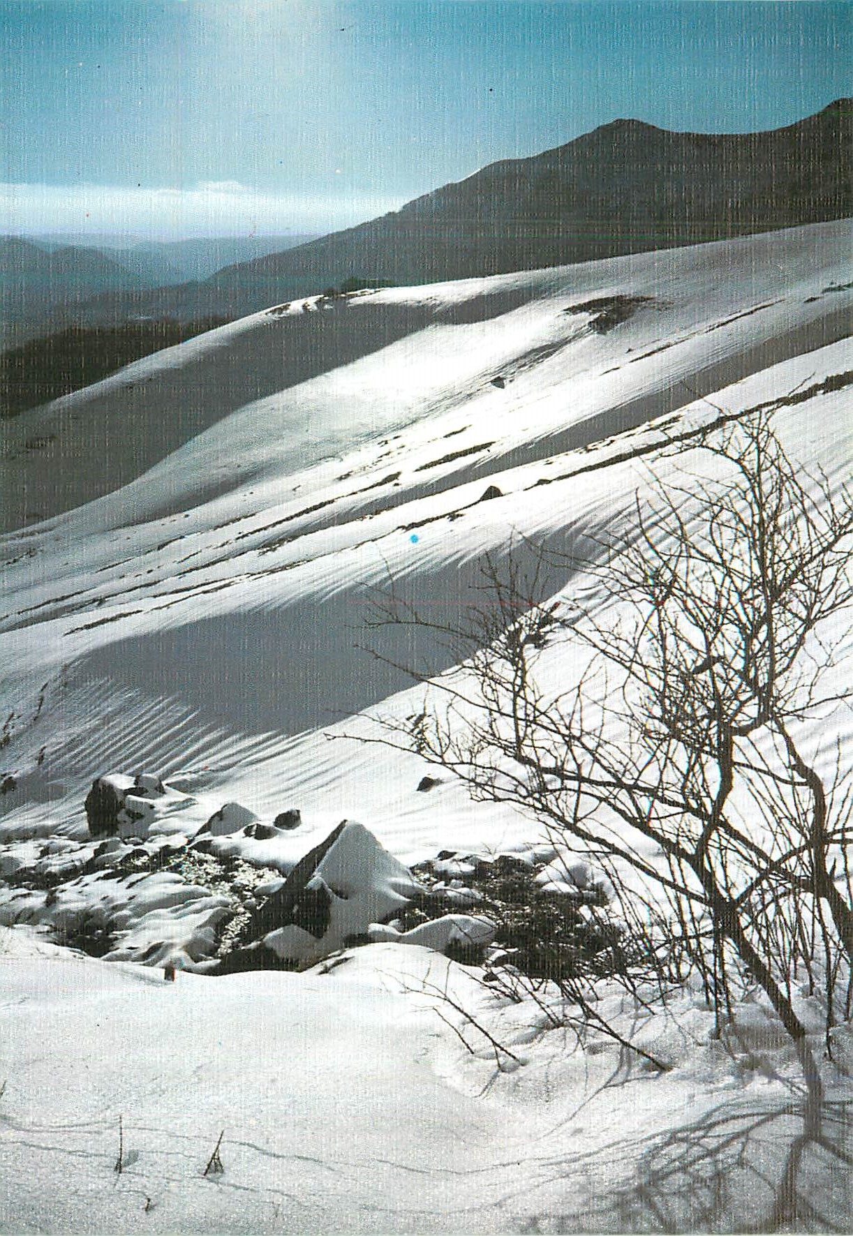 CPM Lever de Soleil sur la Neige