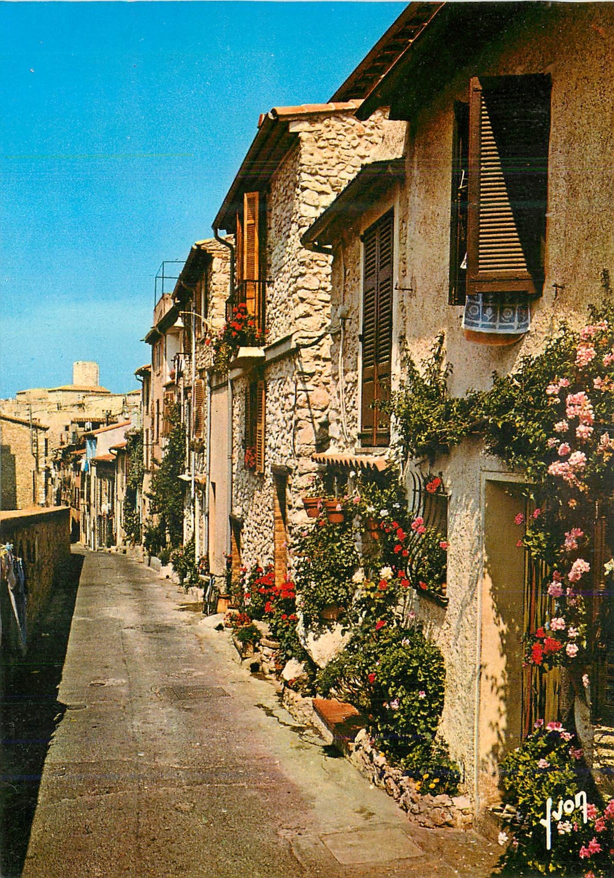 CPM Couleurs et Lumiere de France La Cote d'Azur Miracle de la nature Antibes (Alpes Maritimes)