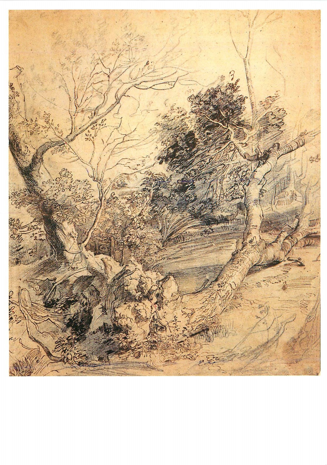 CPM Pieter Paulus Rubens Paysage avec un arbre a terre Pierre noire plume et encre brune