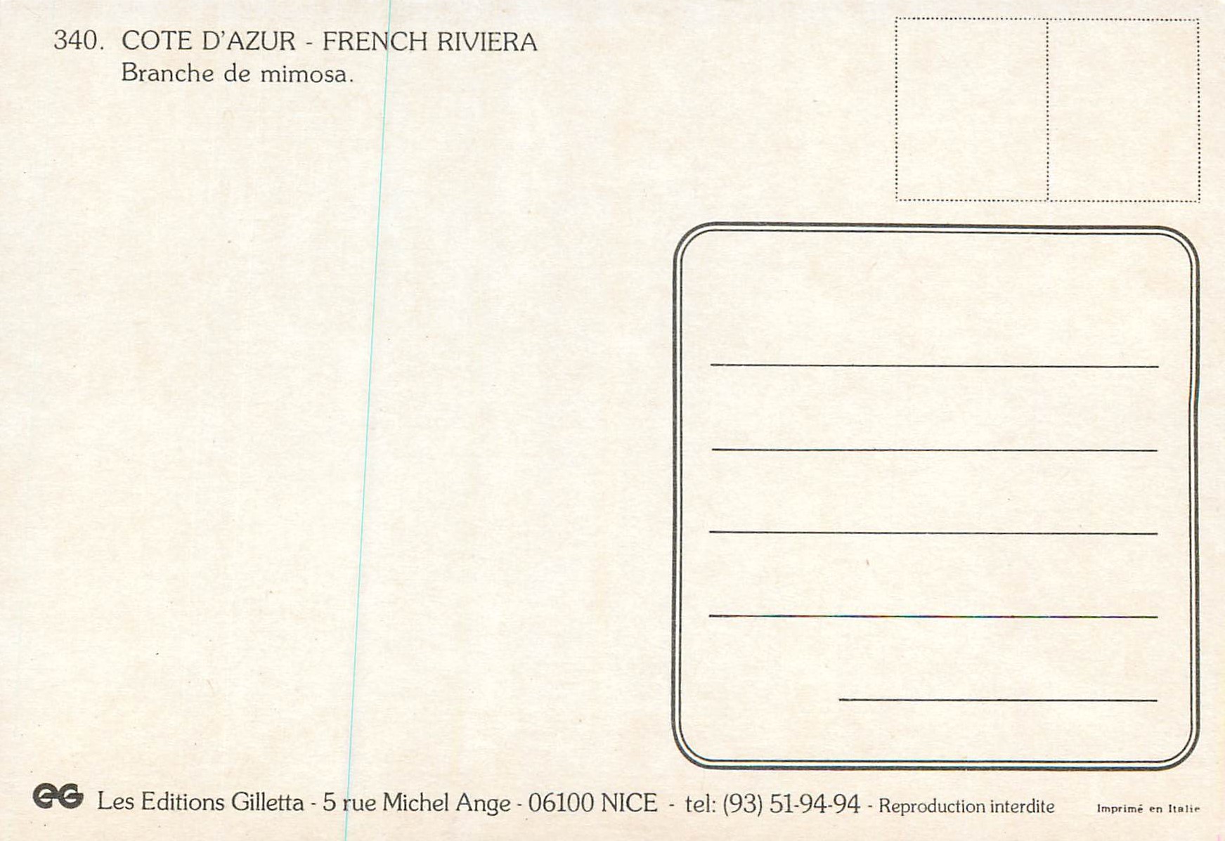 CPM Arbres Branche de mimosa — Verso