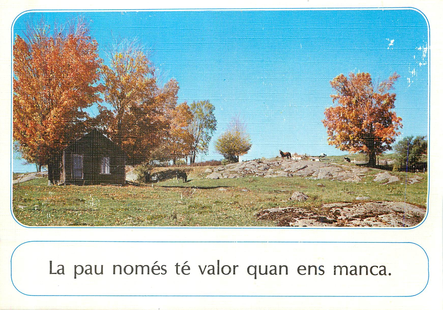 CPM La pau nomes te valor quan ens manca