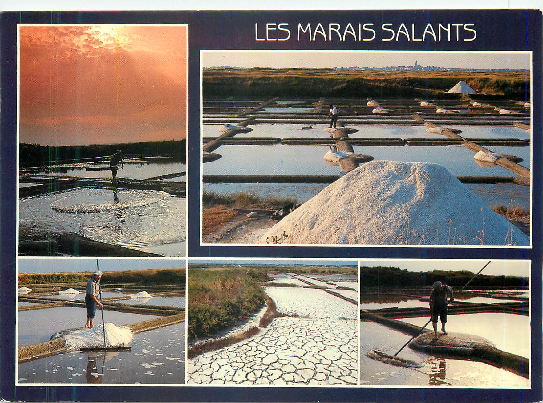 CPM Les Marais Salants  (Loire Atlantique)