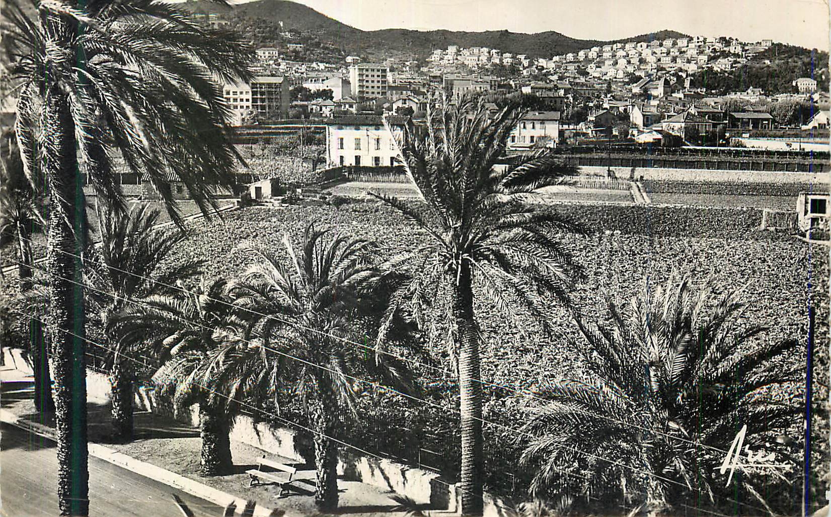 CPM Hyeres les Palmiers vue generale Cote d'Azur